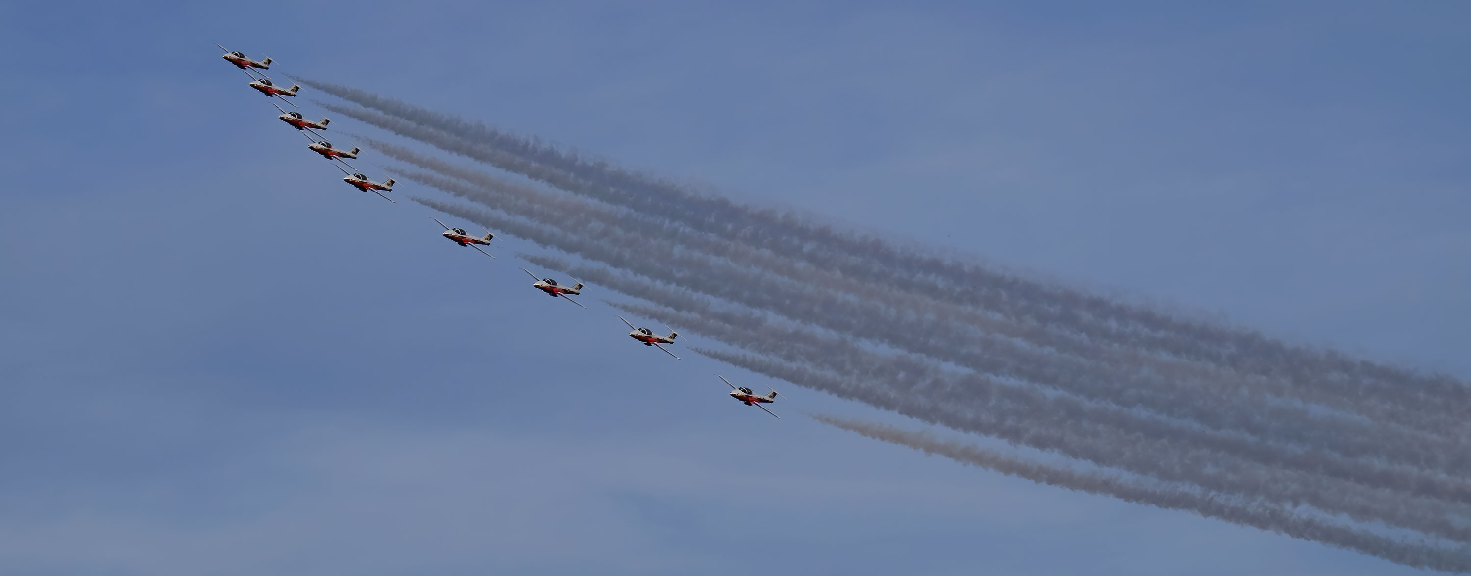 Snowbirds