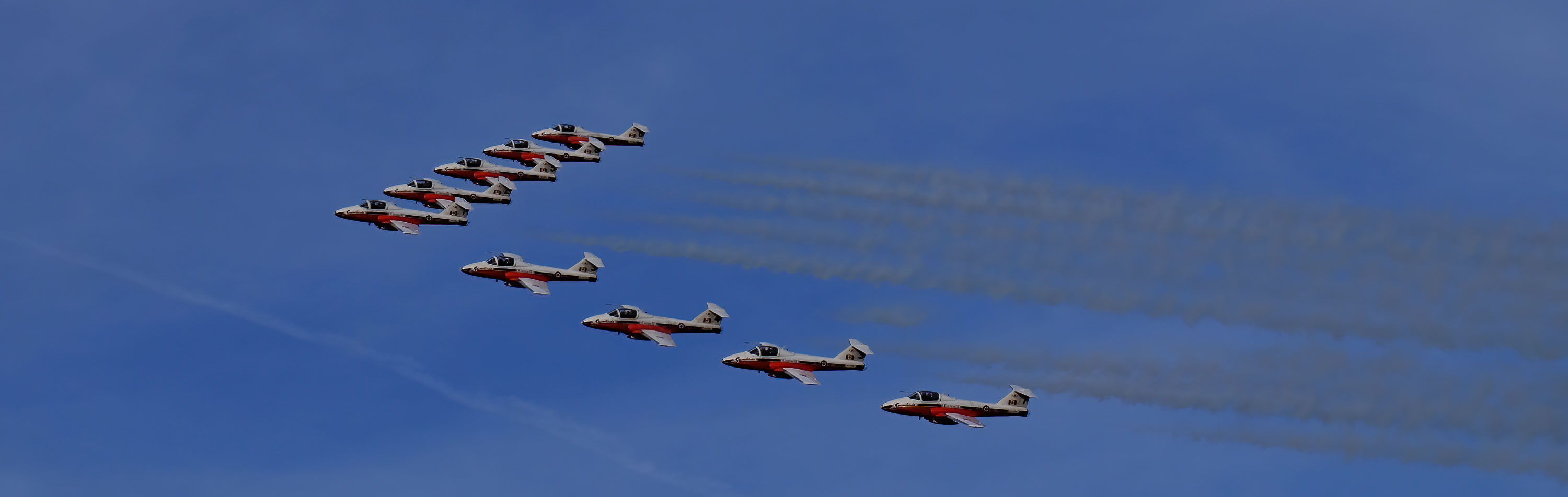 Snowbirds