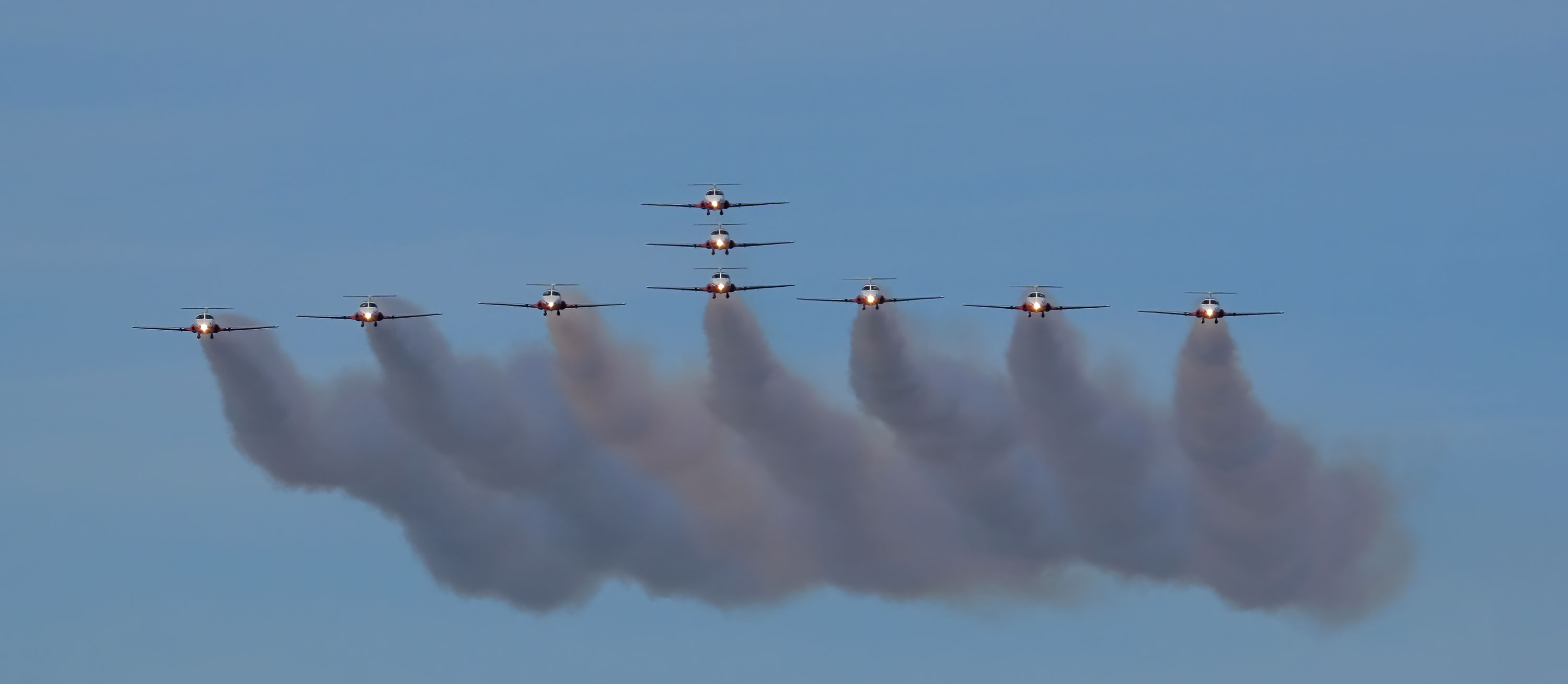 Snowbirds