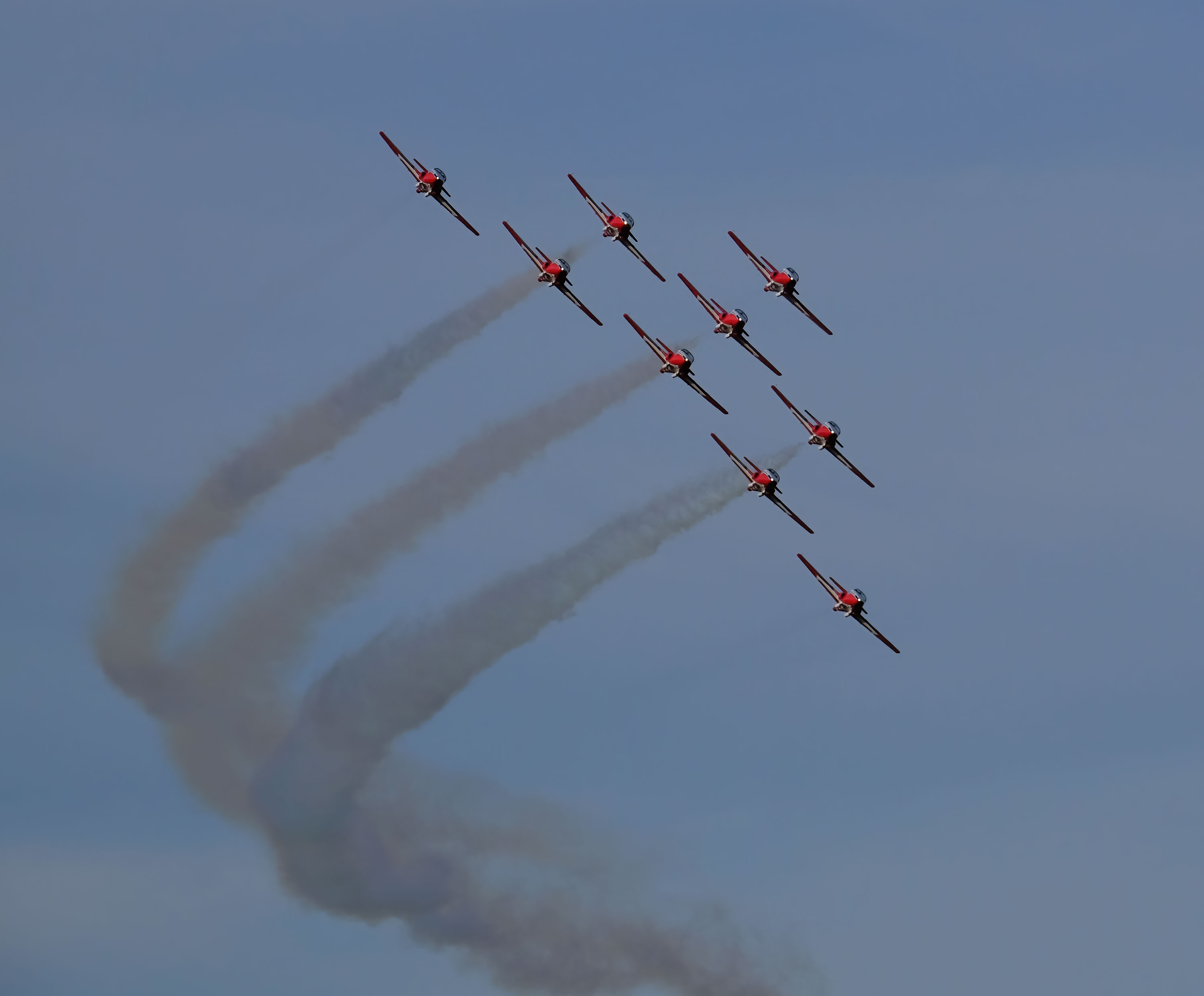 Snowbirds