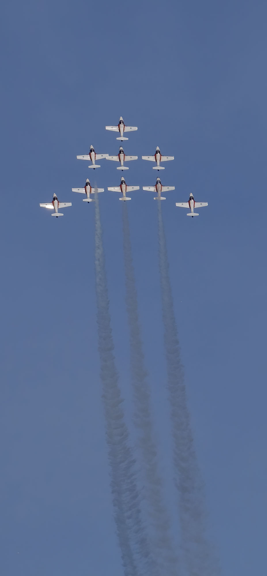 Snowbirds