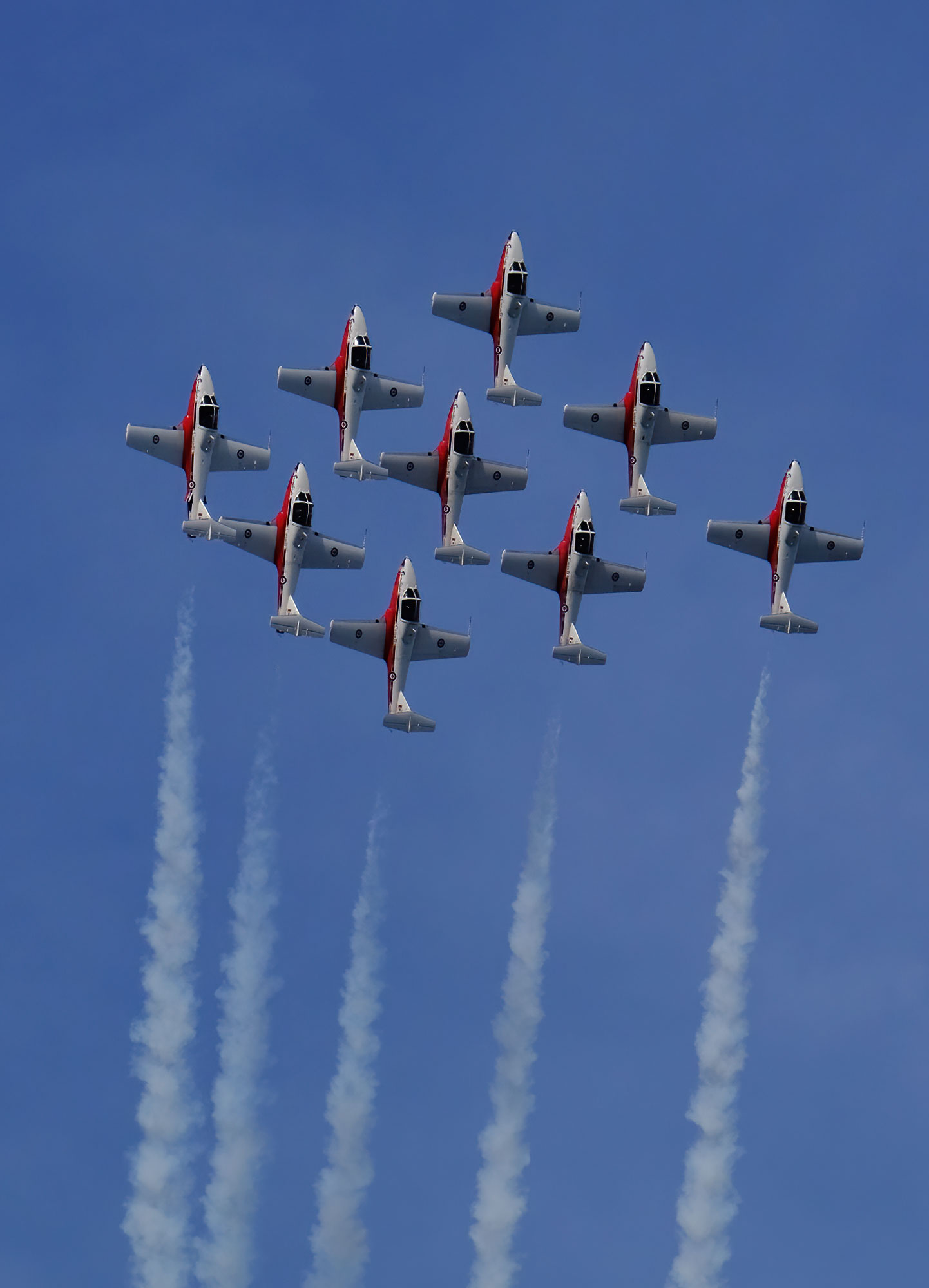 Snowbirds
