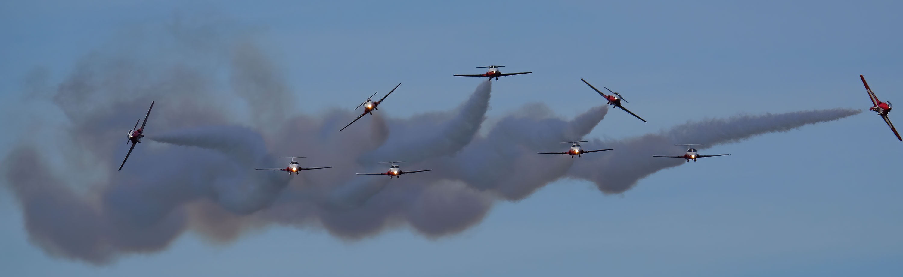 Snowbirds