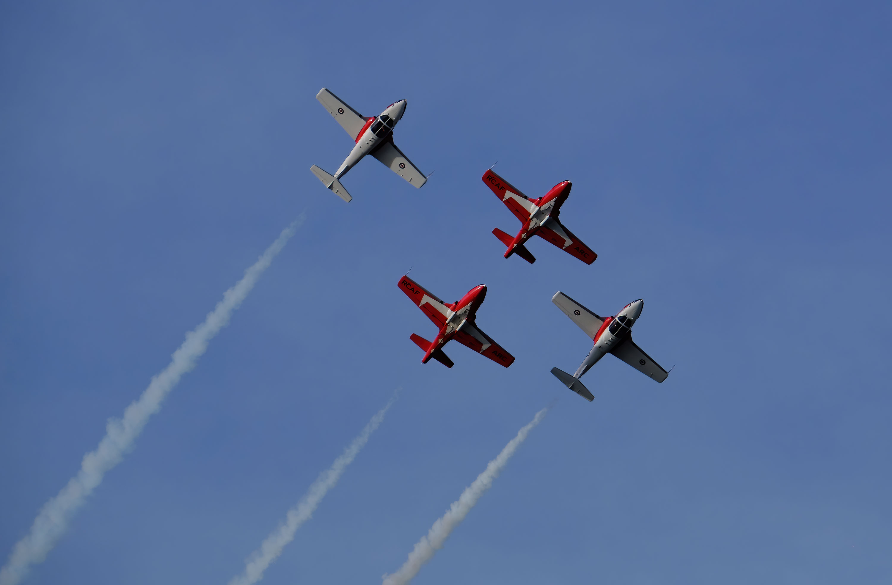 Snowbirds