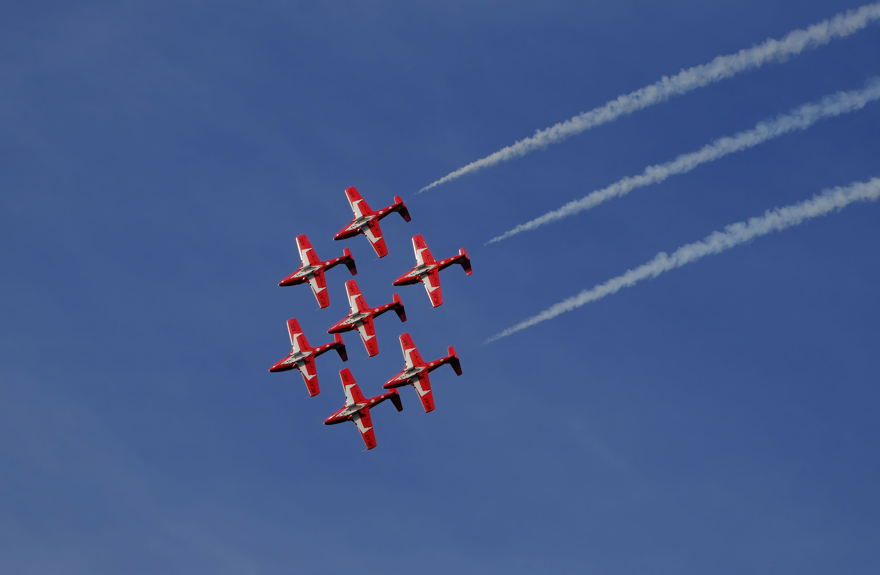 Snowbirds