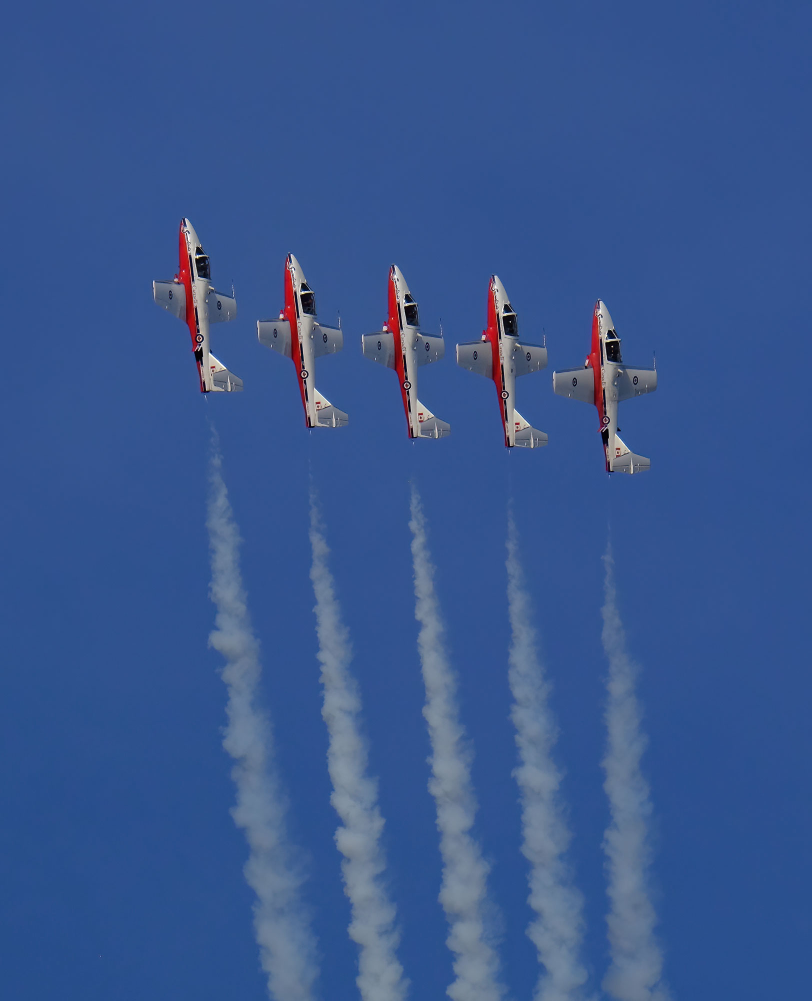 Snowbirds
