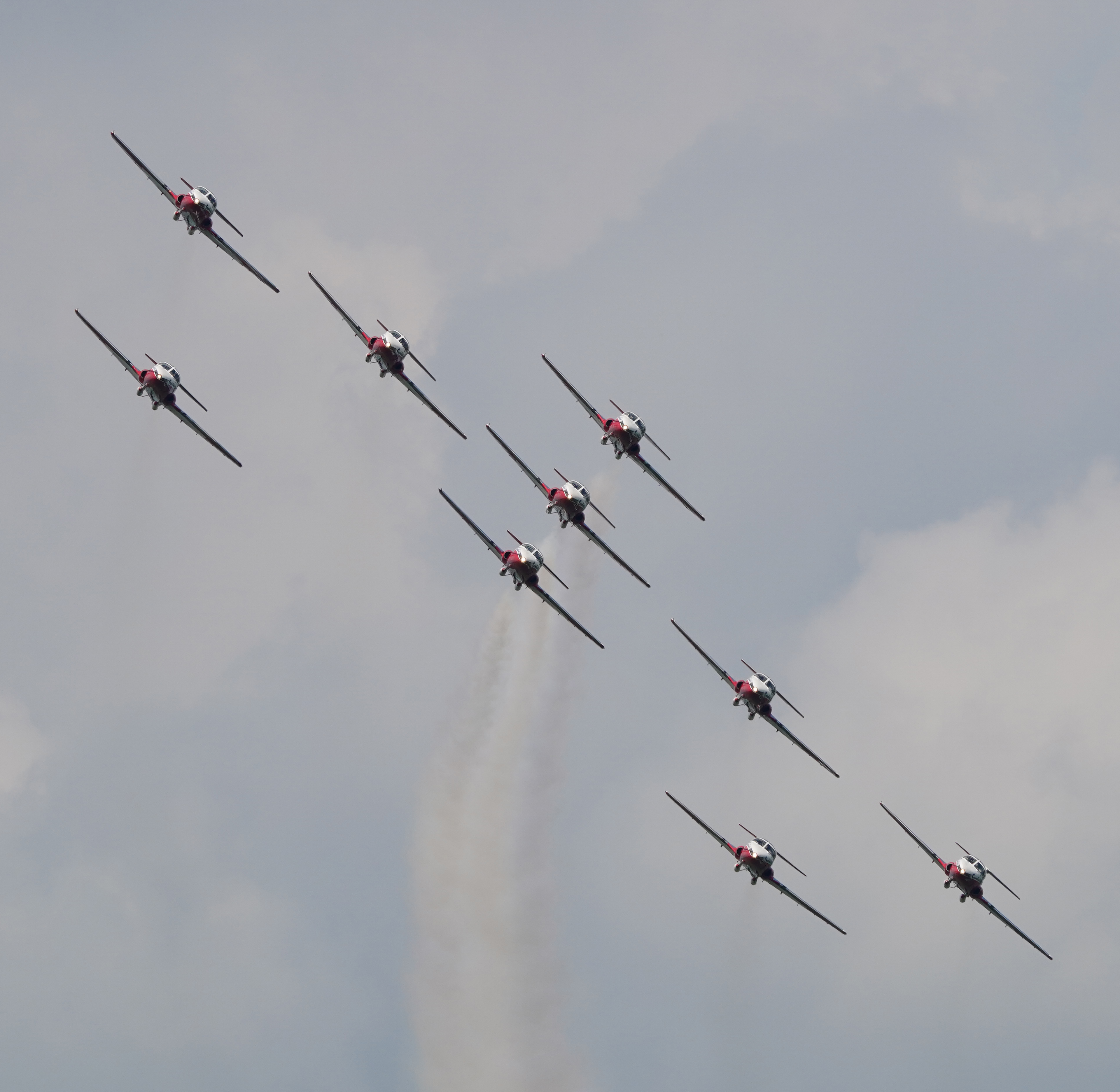 Snowbirds