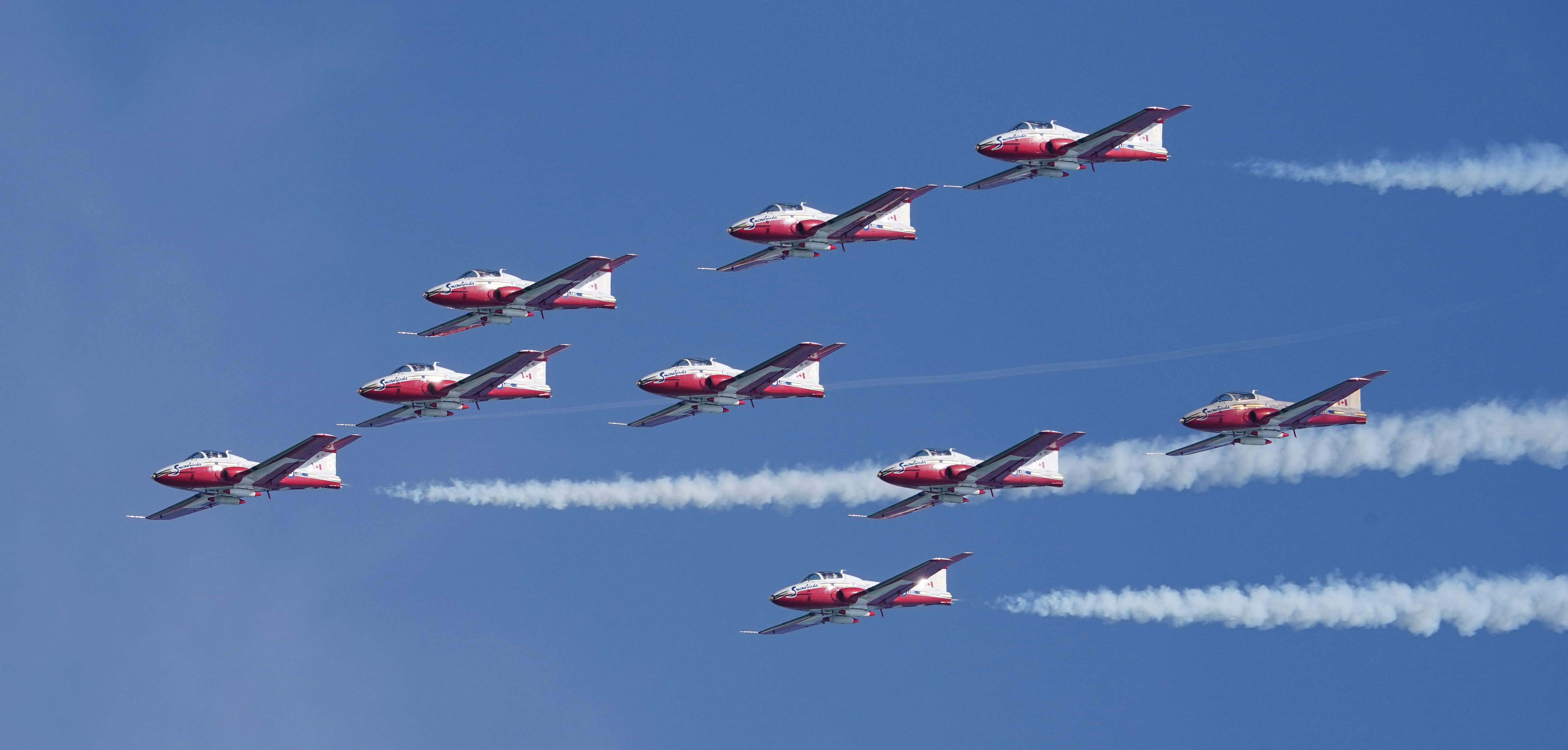 Snowbirds