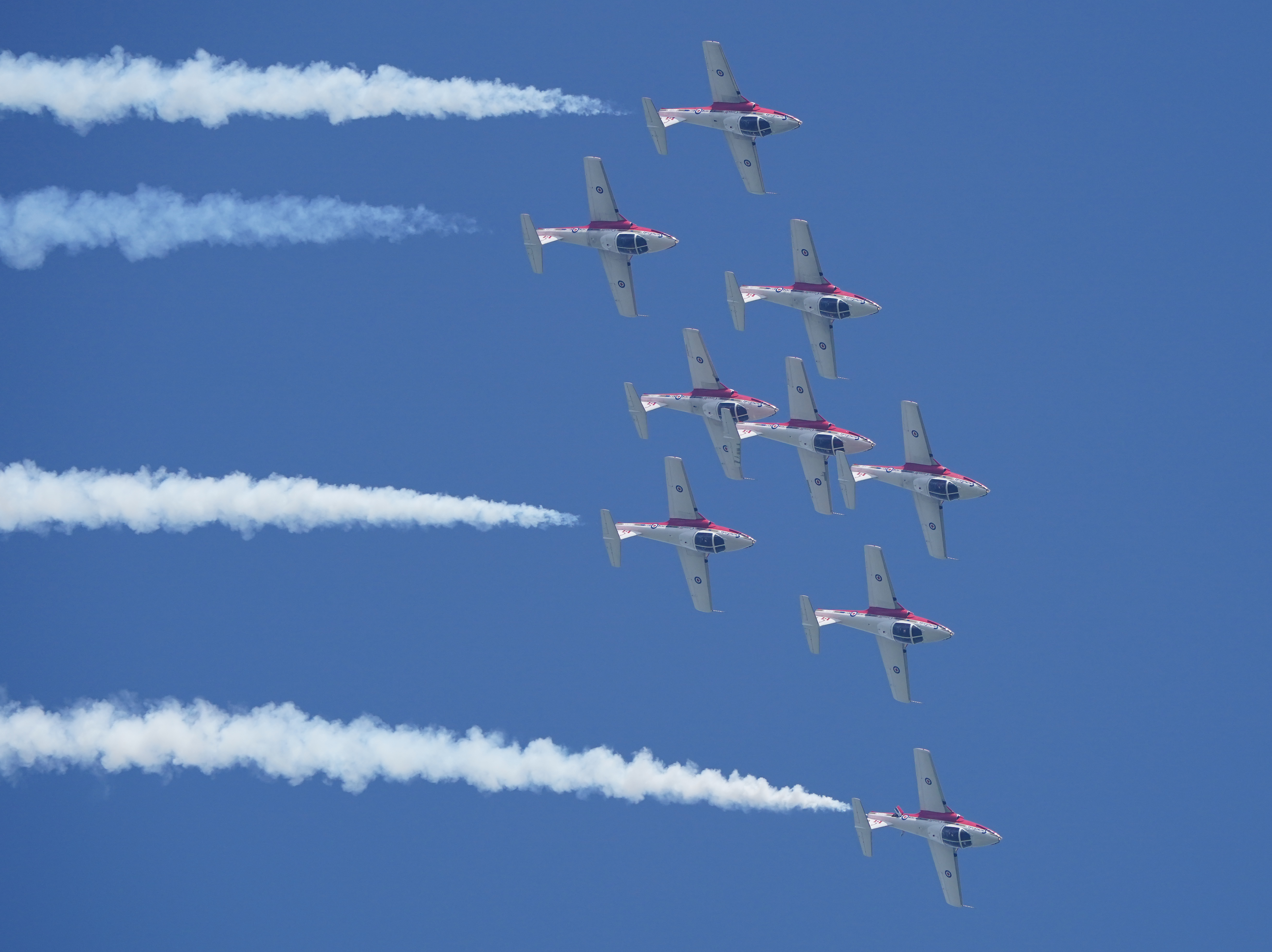 Snowbirds