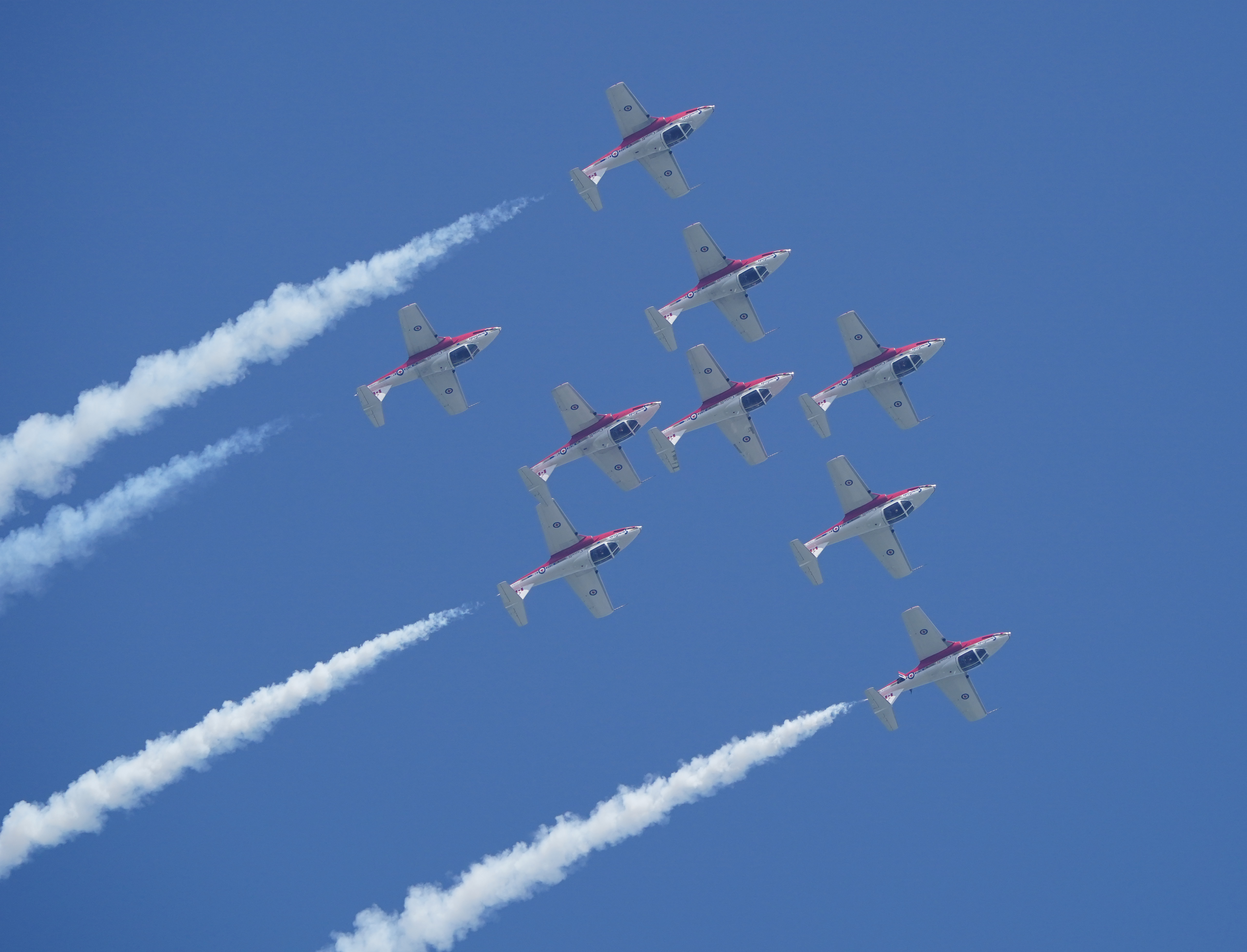 Snowbirds