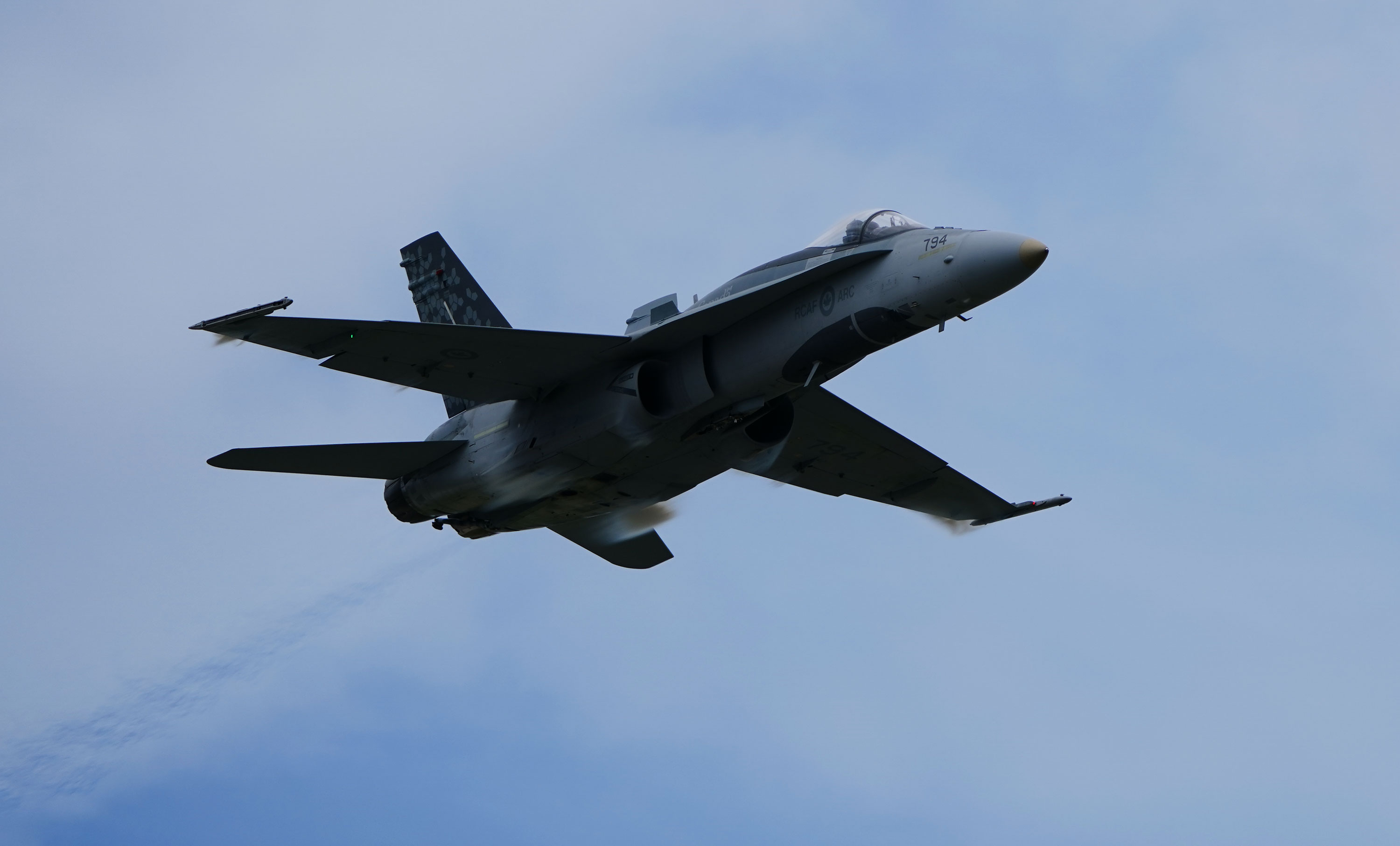CF-18 Hornet