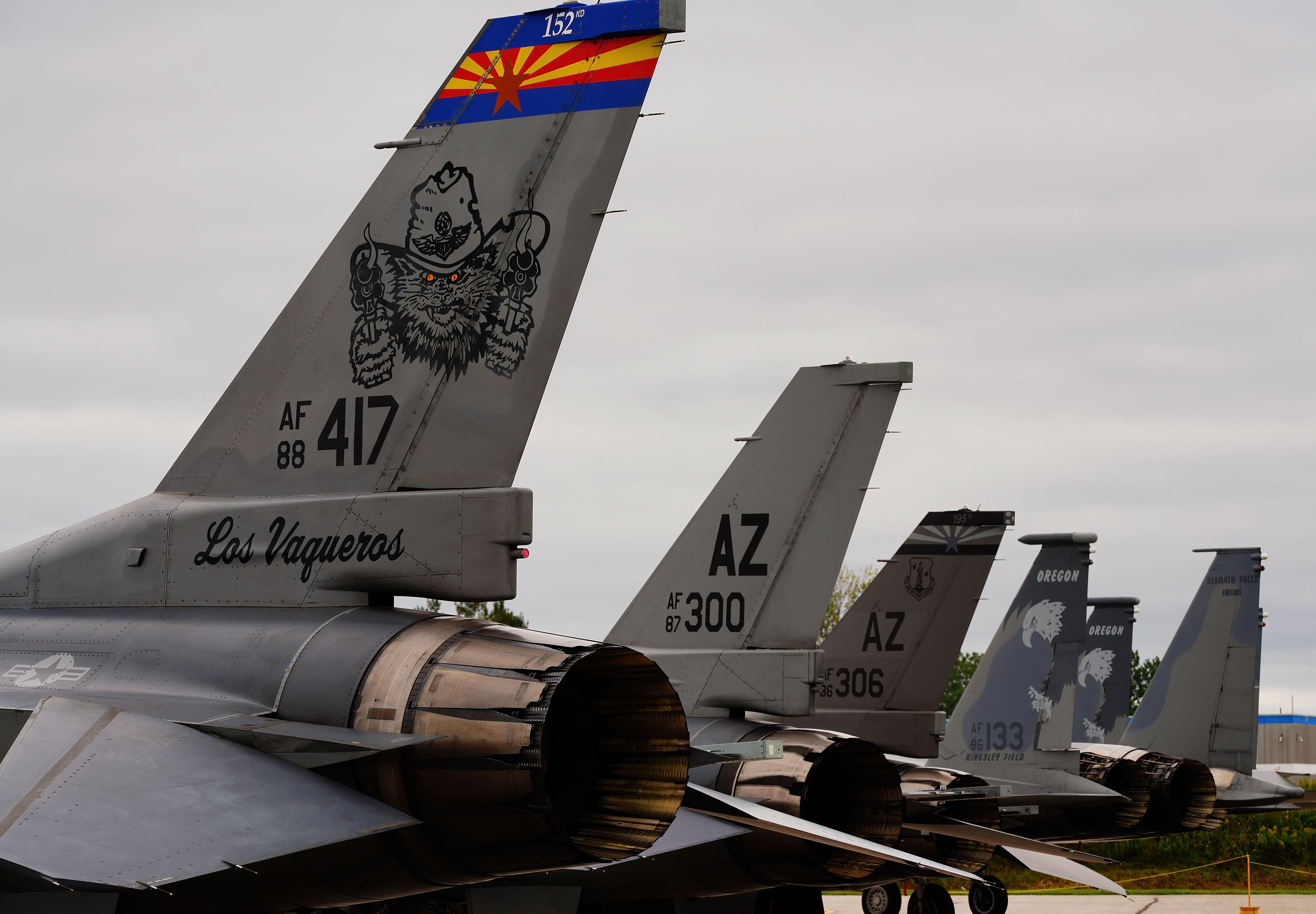 Air National Guard F-16C/D Fighting Falcon