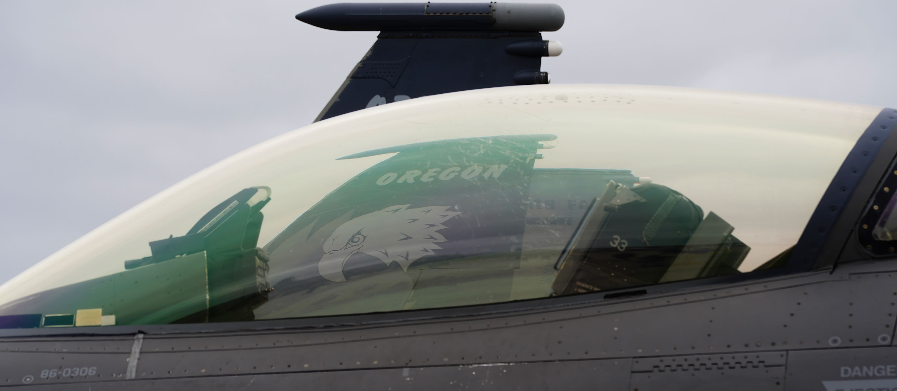 Air National Guard F-16C/D Fighting Falcon