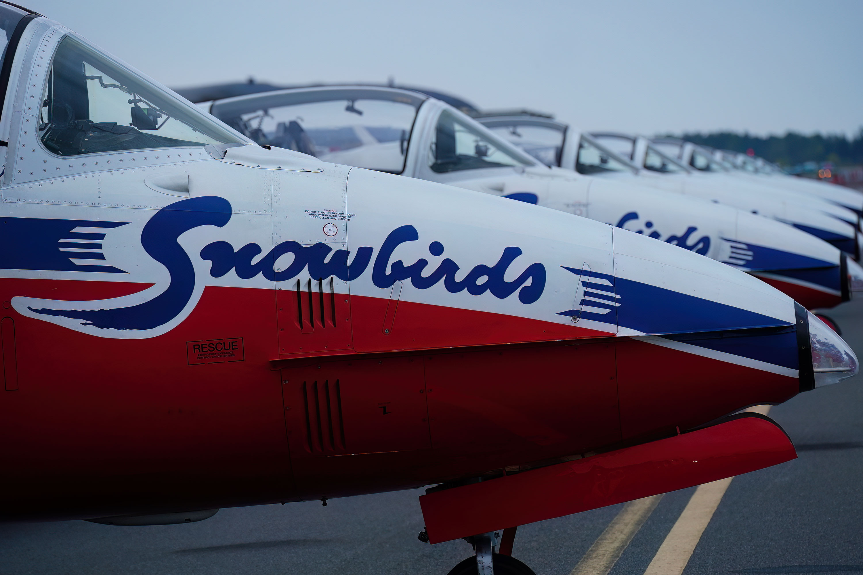 Canadian Forces Snowbirds