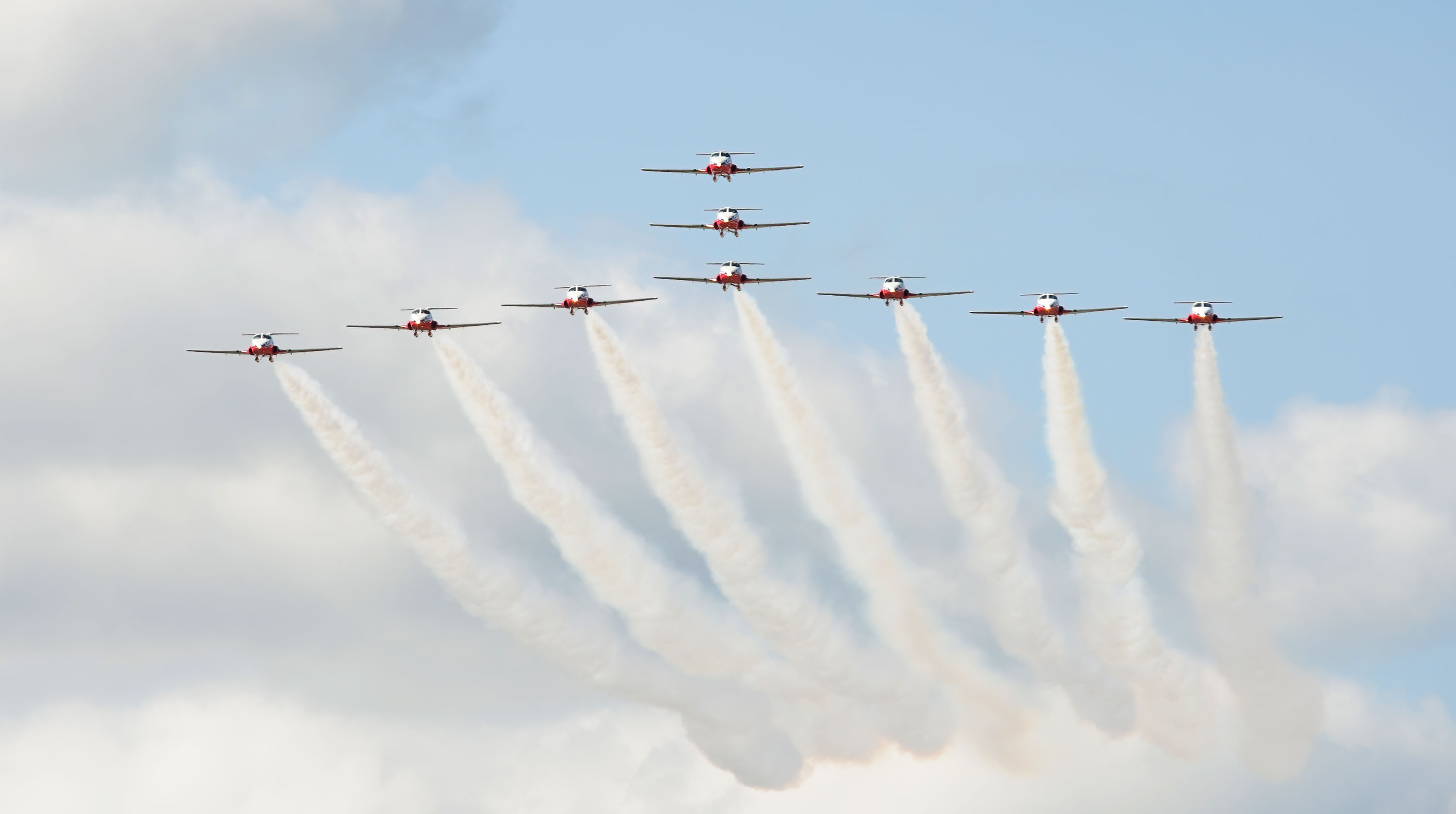 Snowbirds