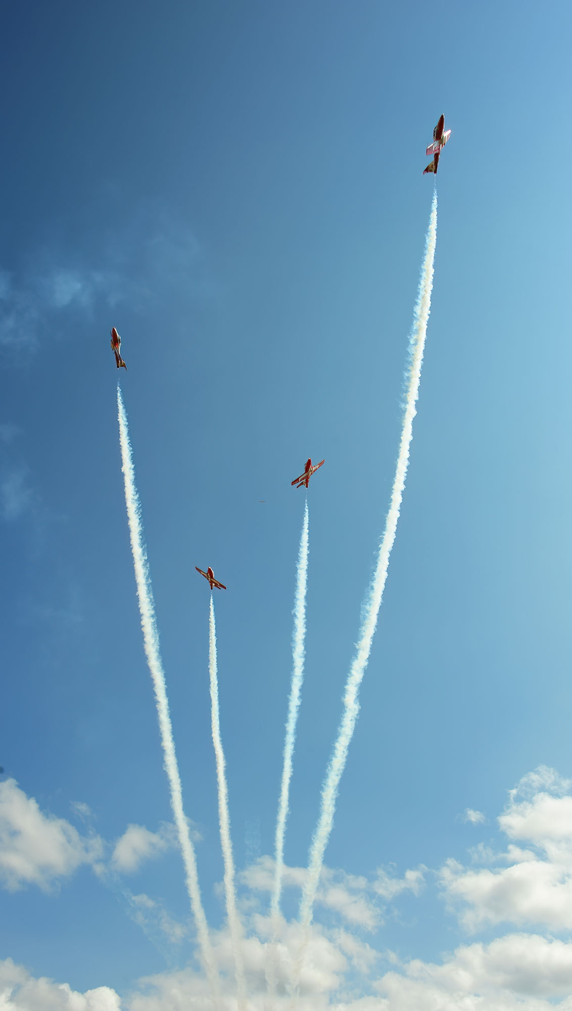 Snowbirds