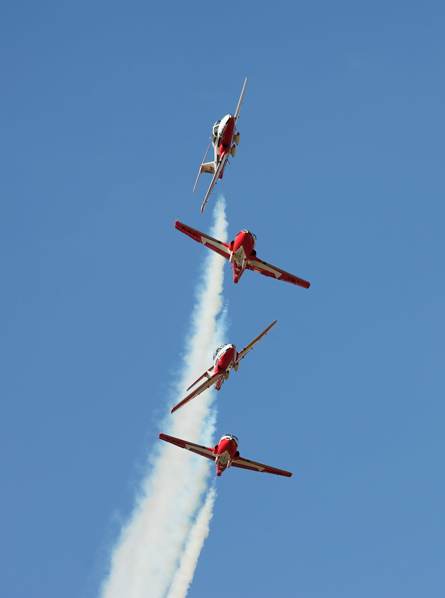Snowbirds