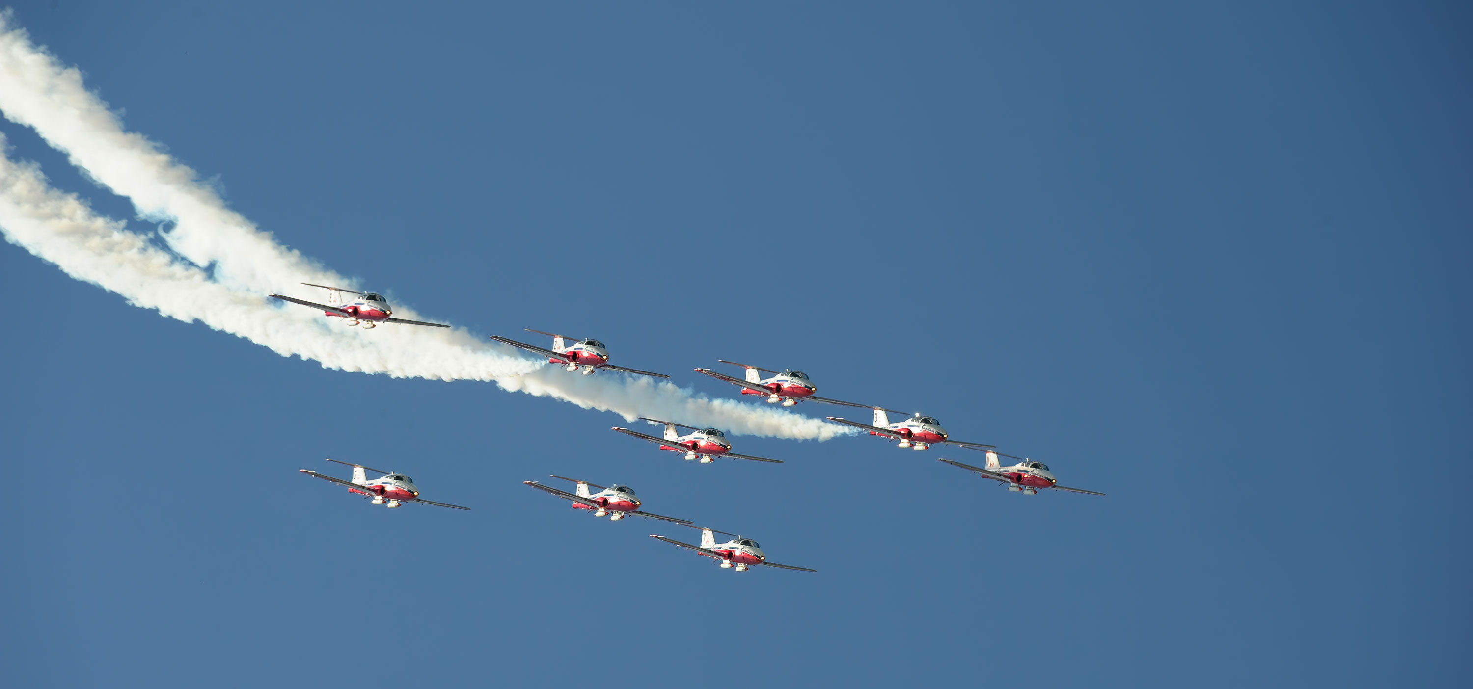 Snowbirds