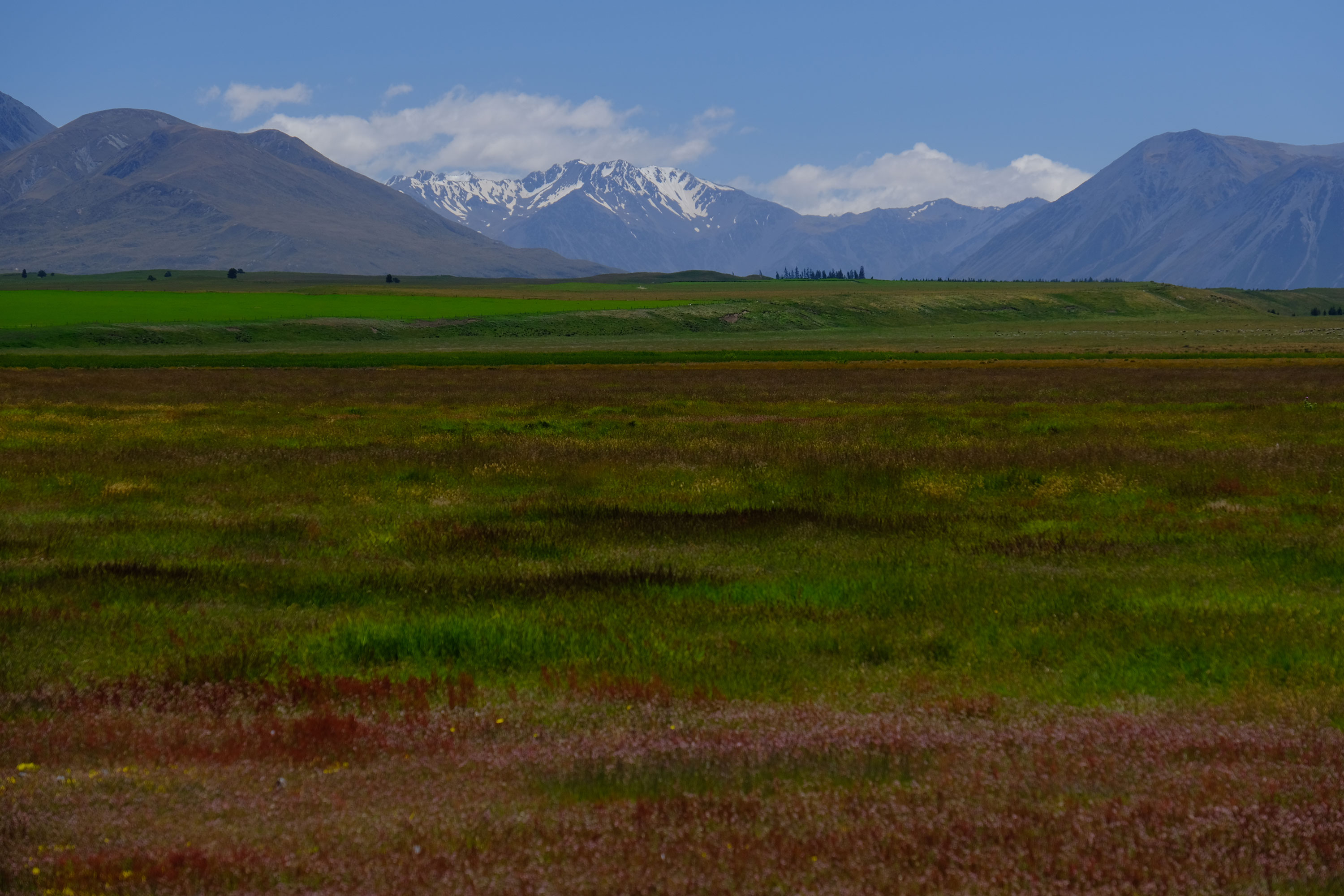 Hakatere Conservation Park