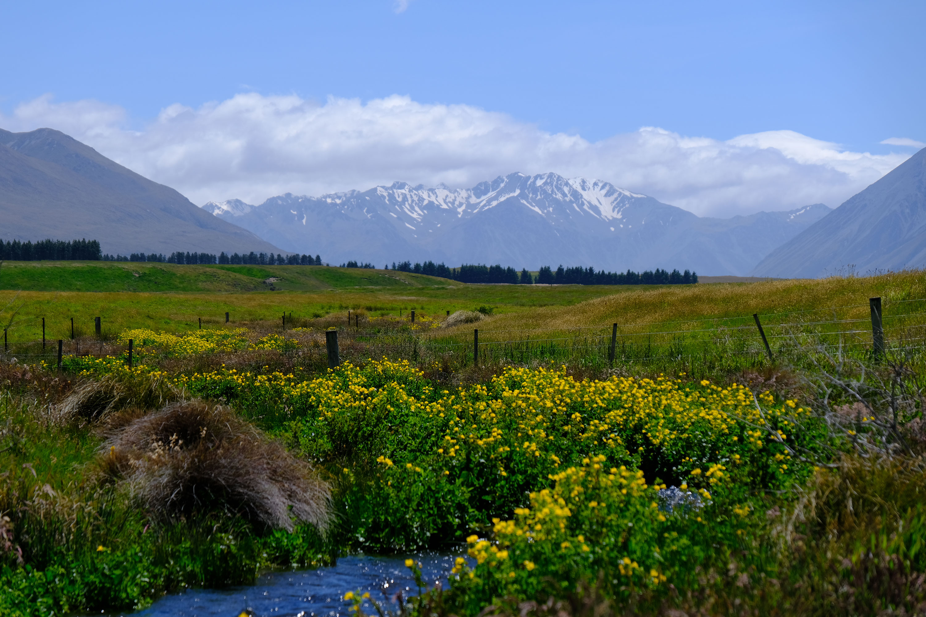Hakatere Conservation Park