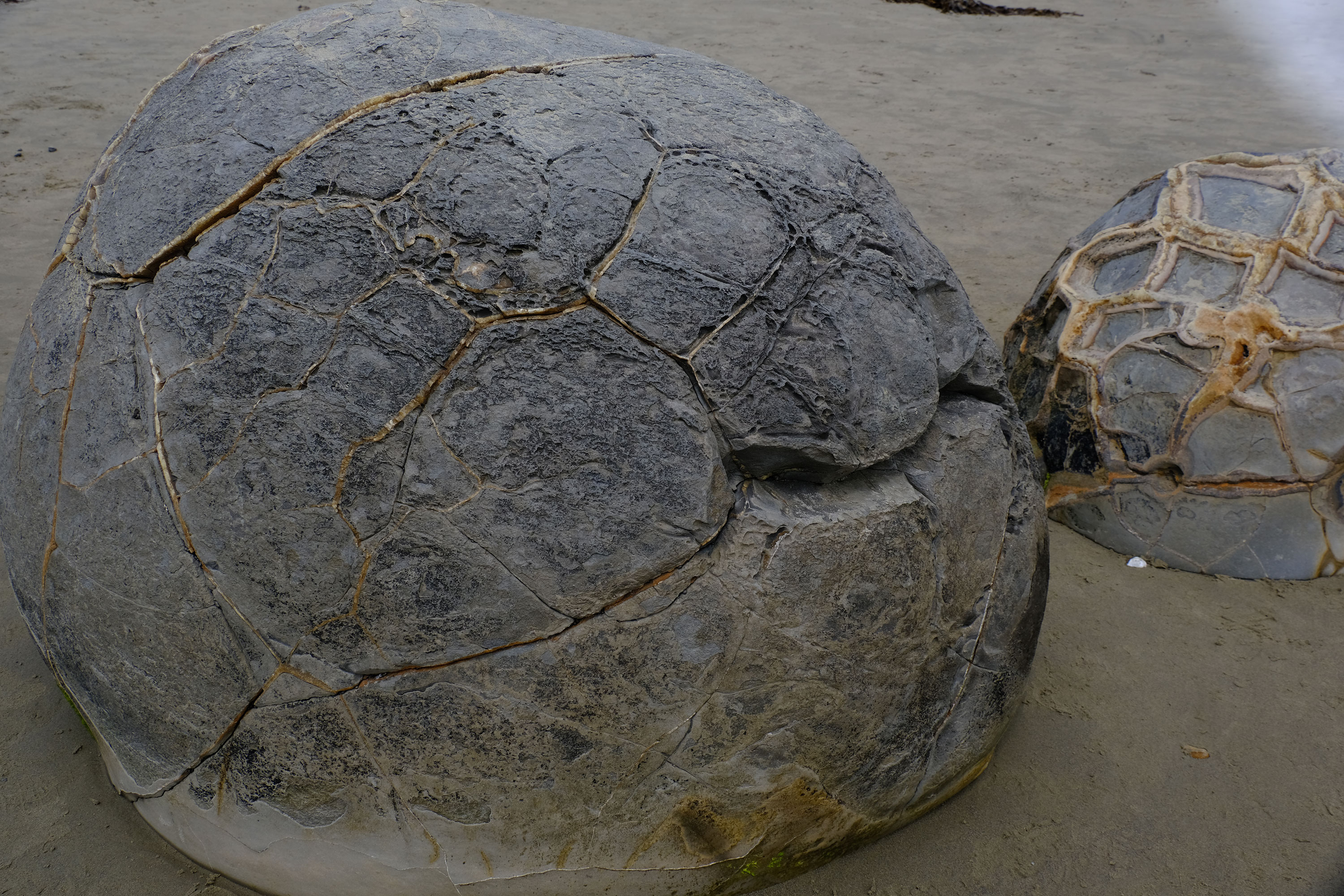 Moeraki Boulders