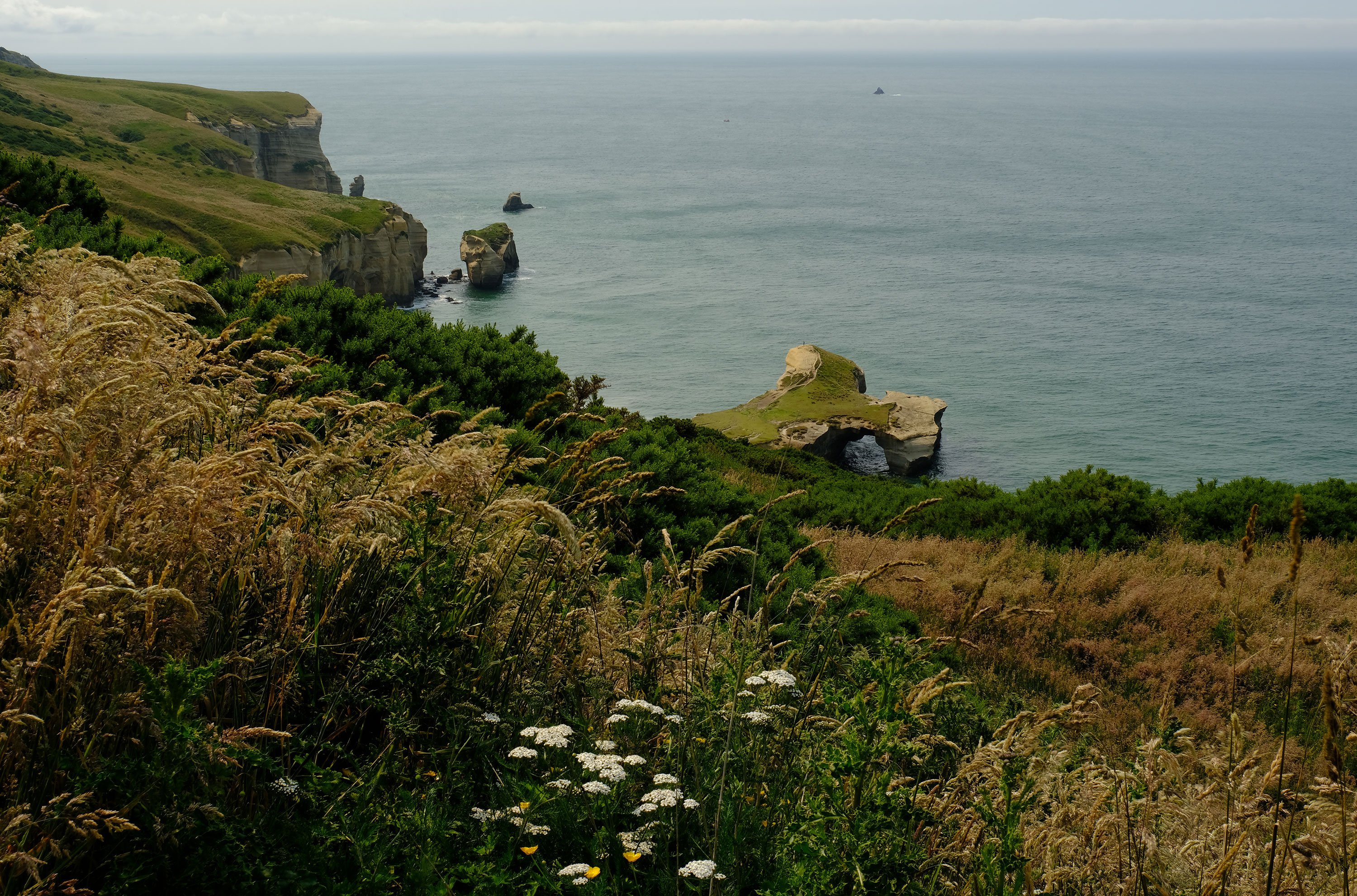 Tunnel Beach, Dunedin