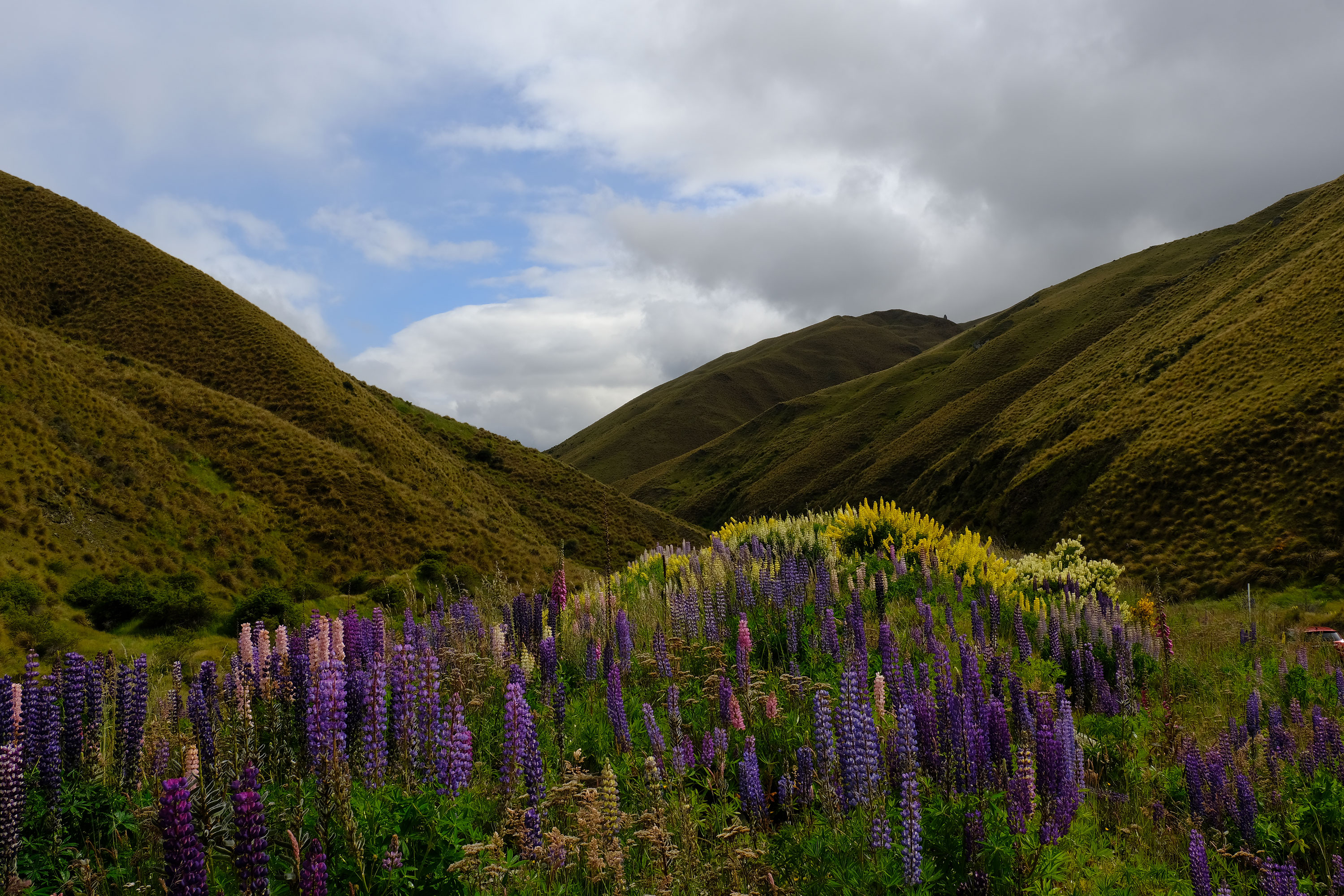 Cardrona Valley