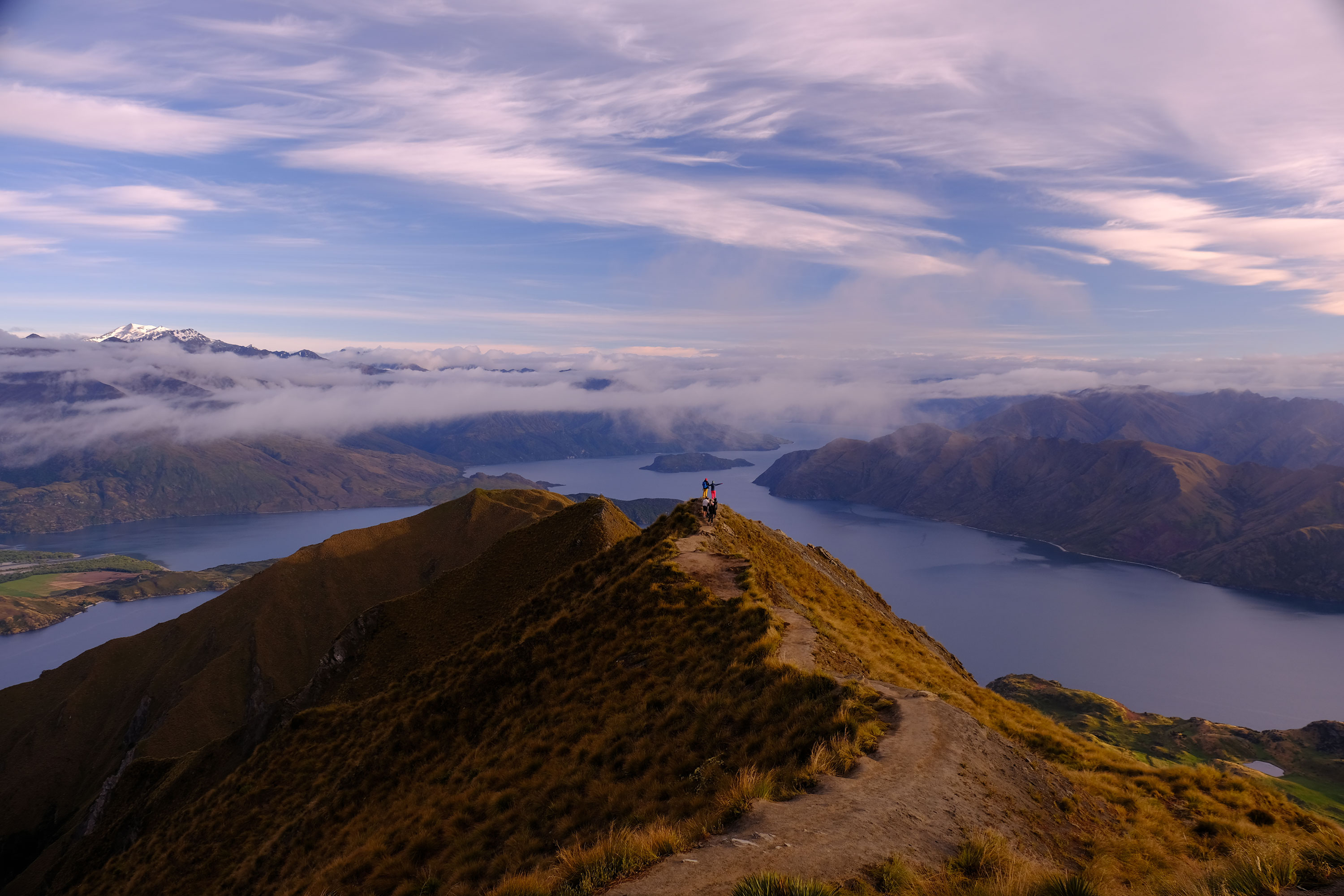 Roys Peak