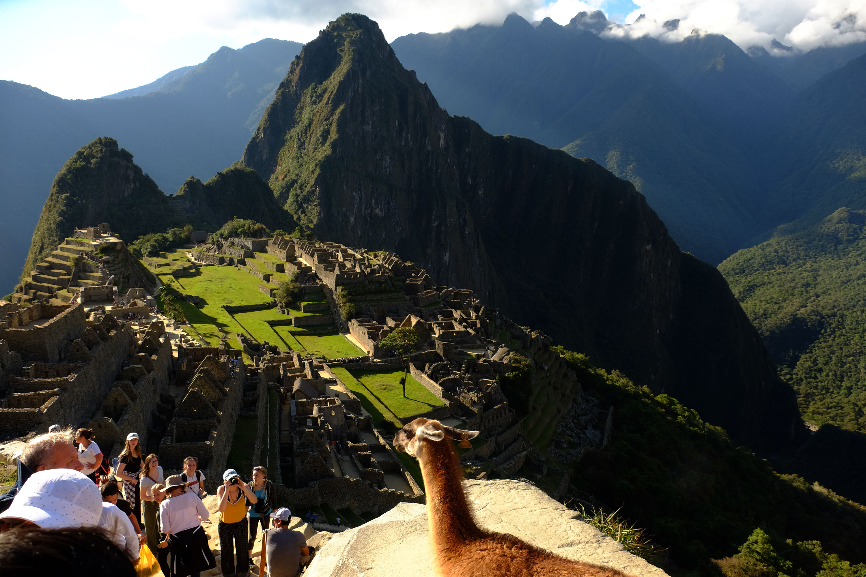 Machu Picchu