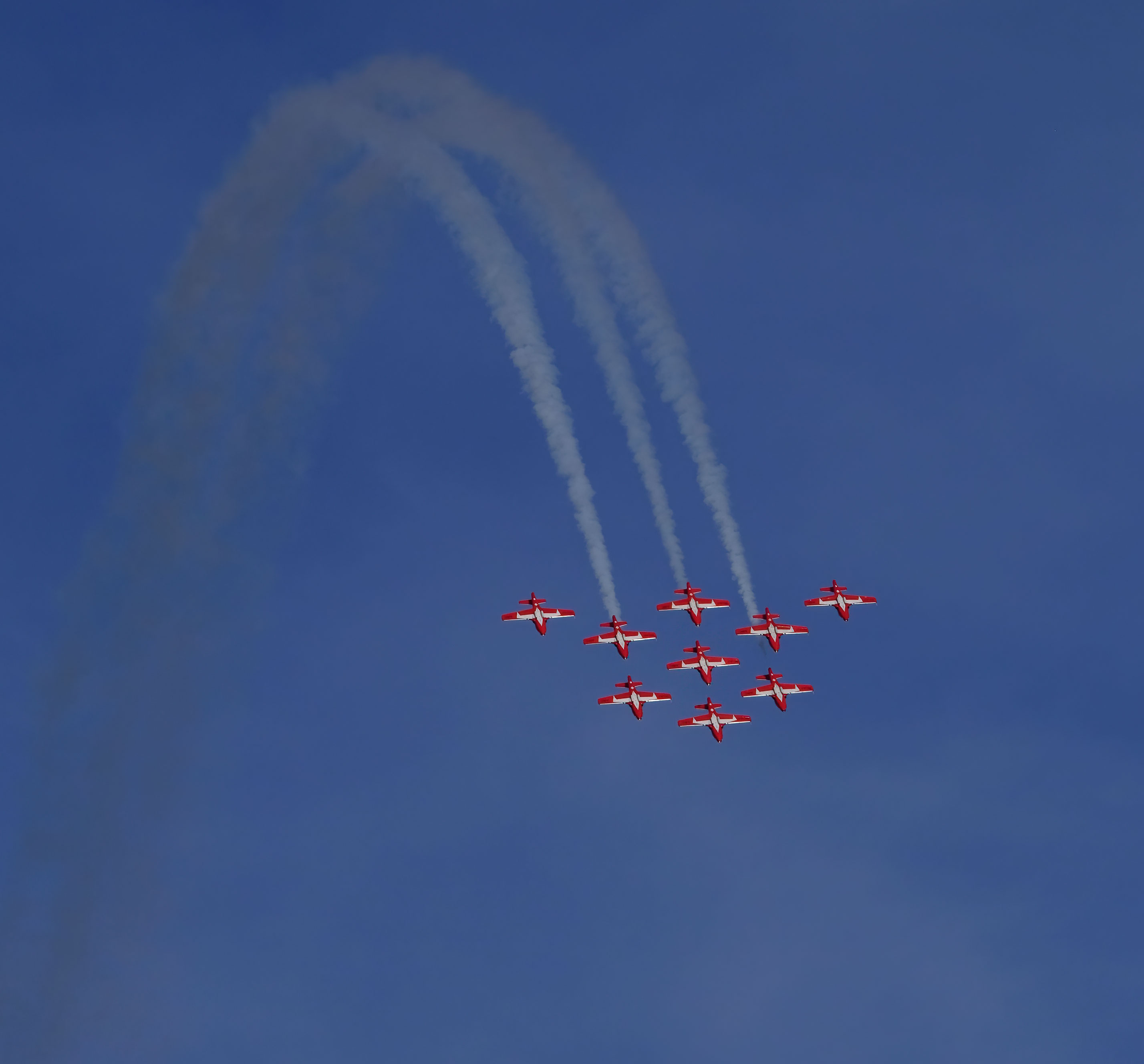 Snowbirds