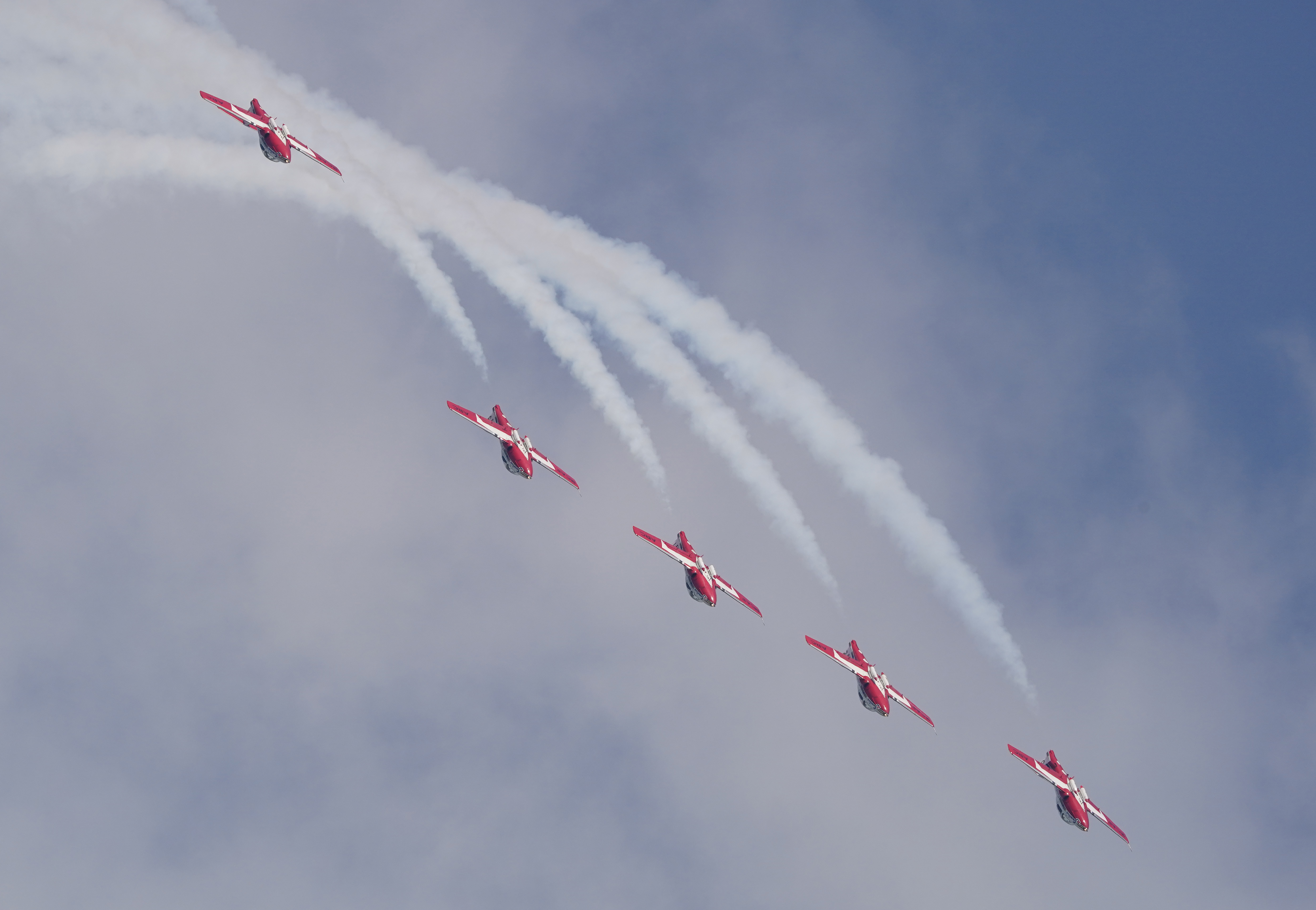 Snowbirds
