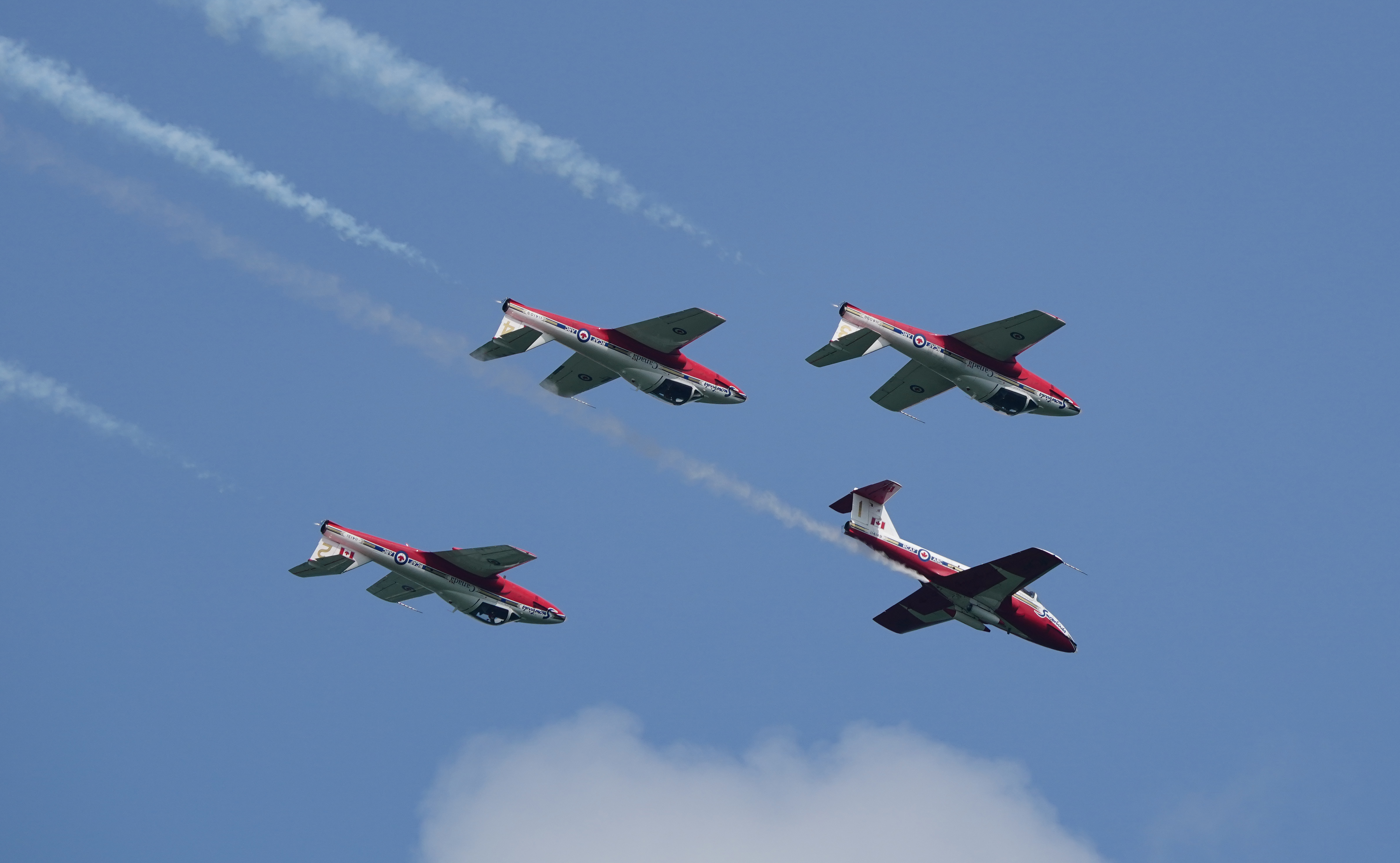 Snowbirds
