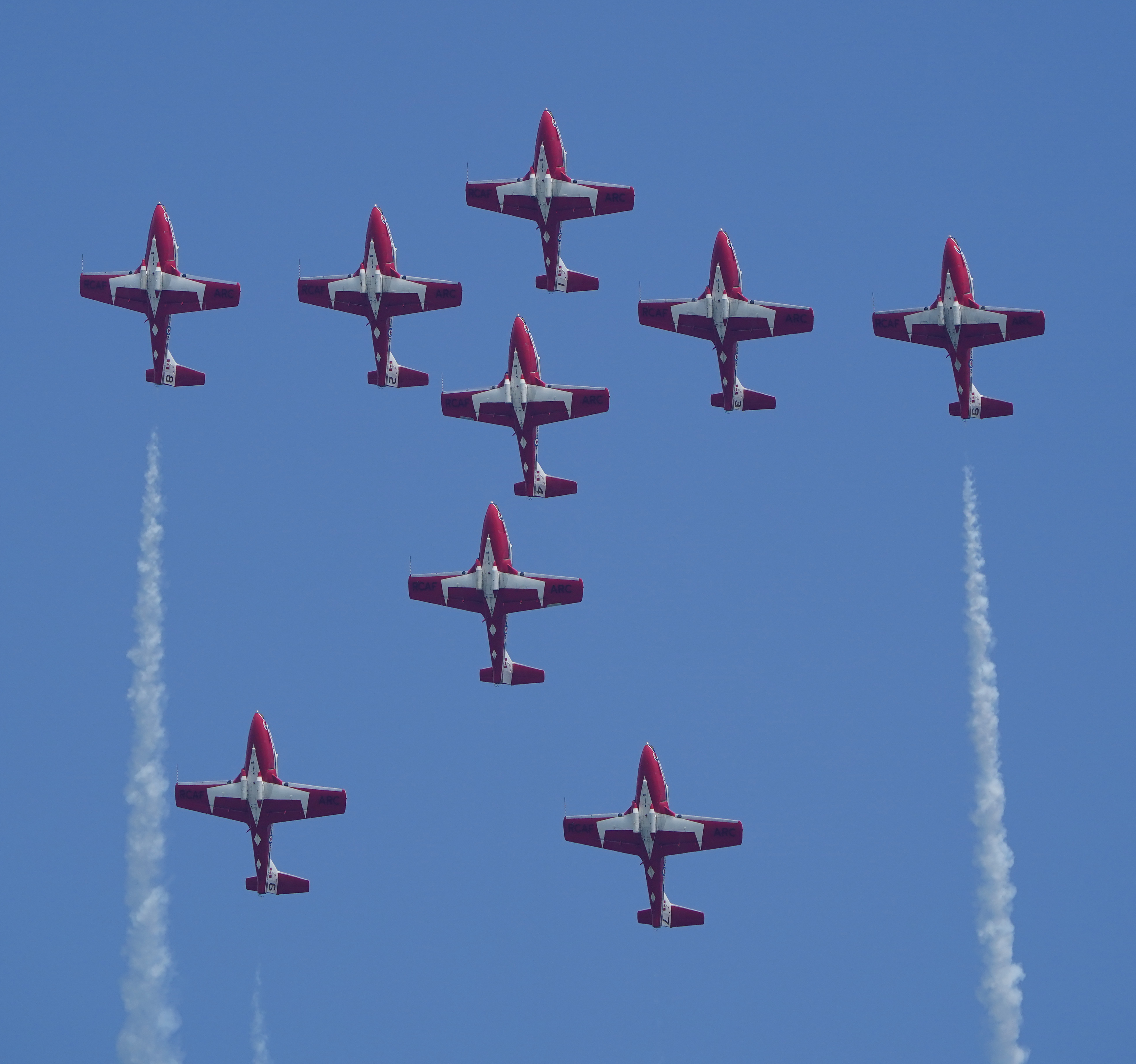 Snowbirds