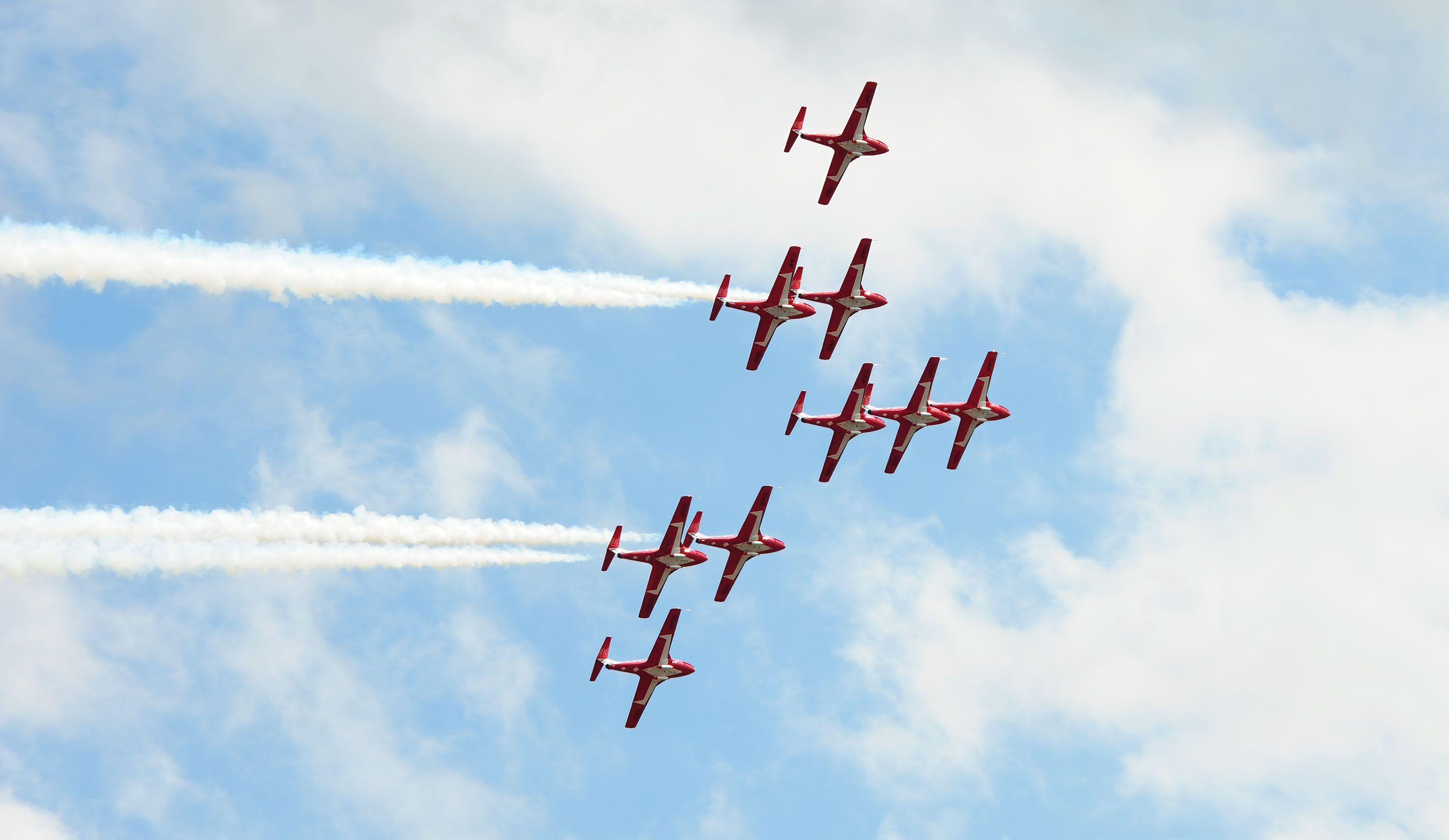 Snowbirds