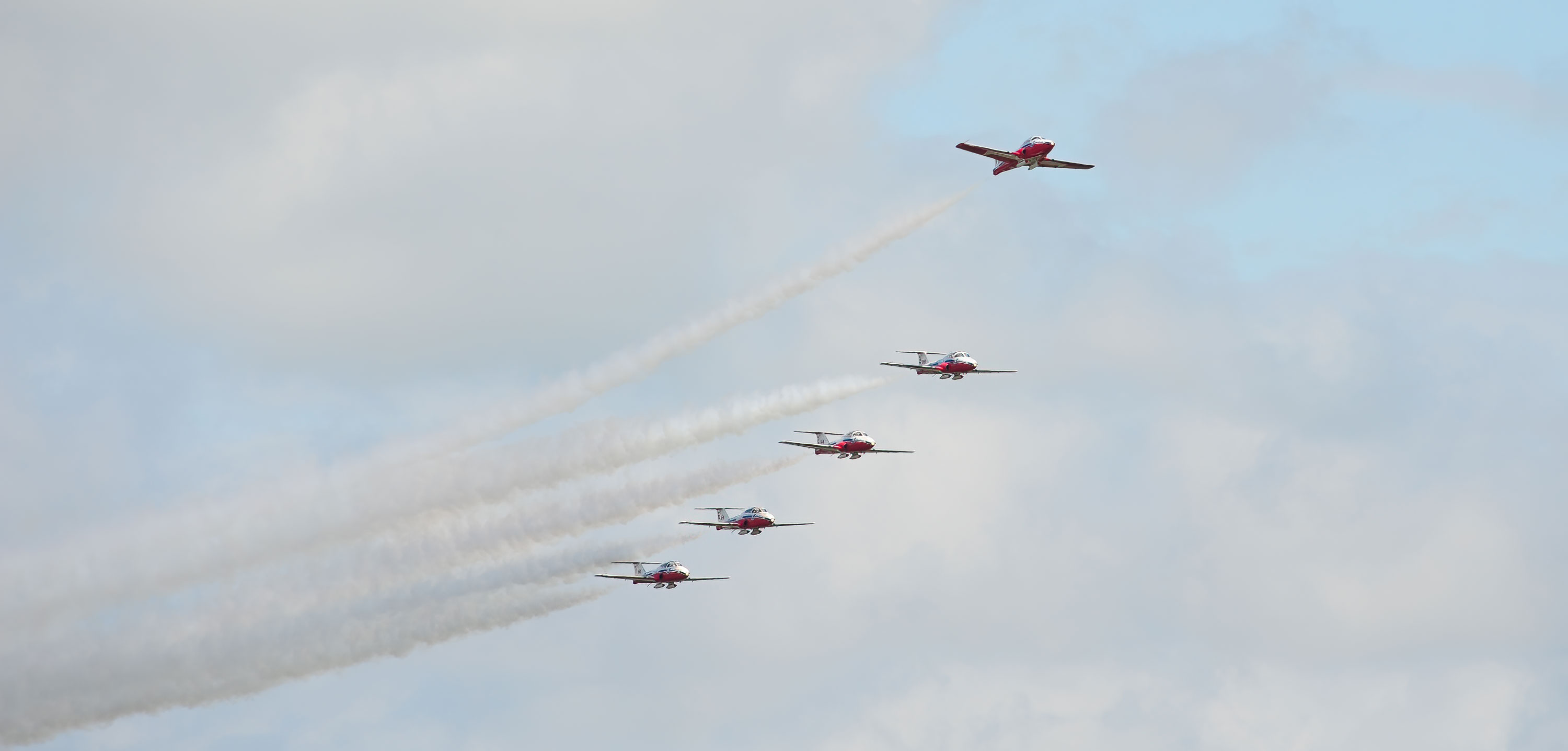 Snowbirds