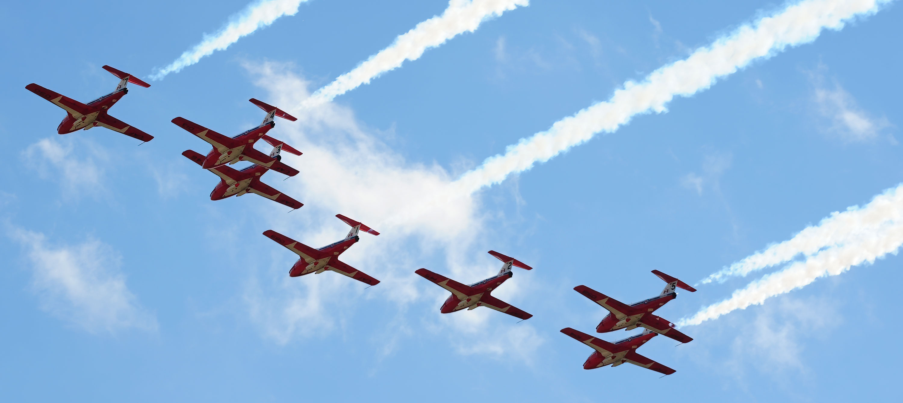 Snowbirds
