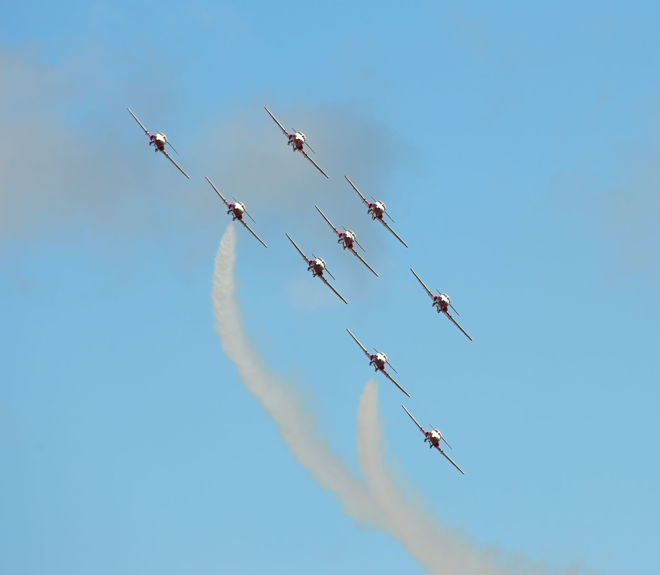 Snowbirds