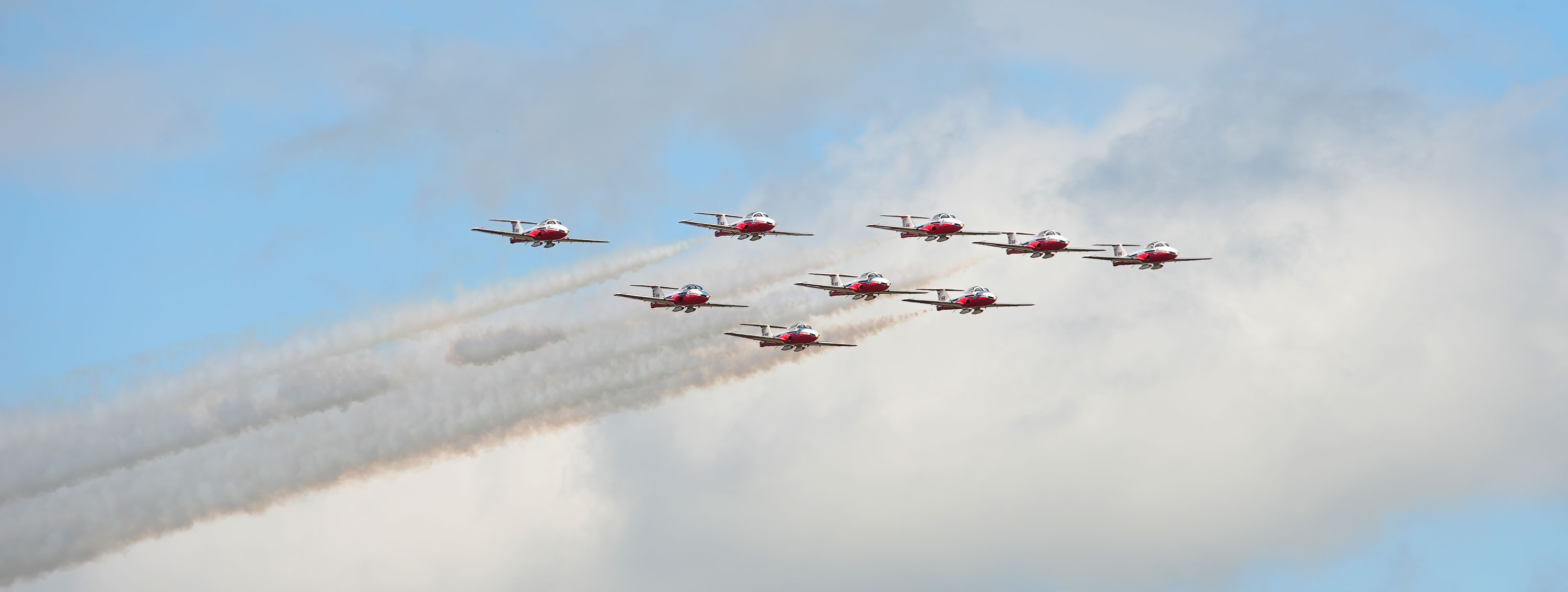 Snowbirds
