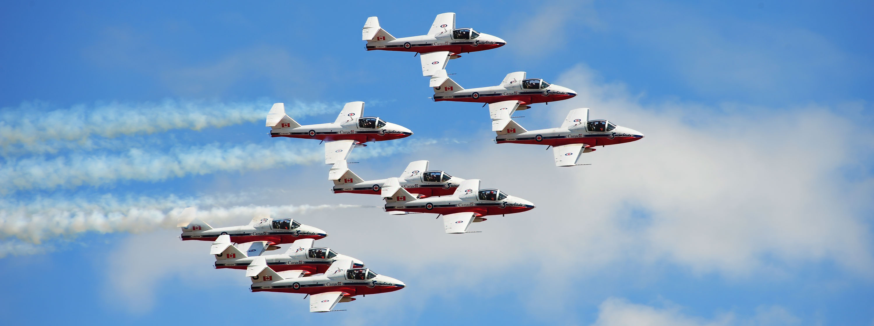 Snowbirds