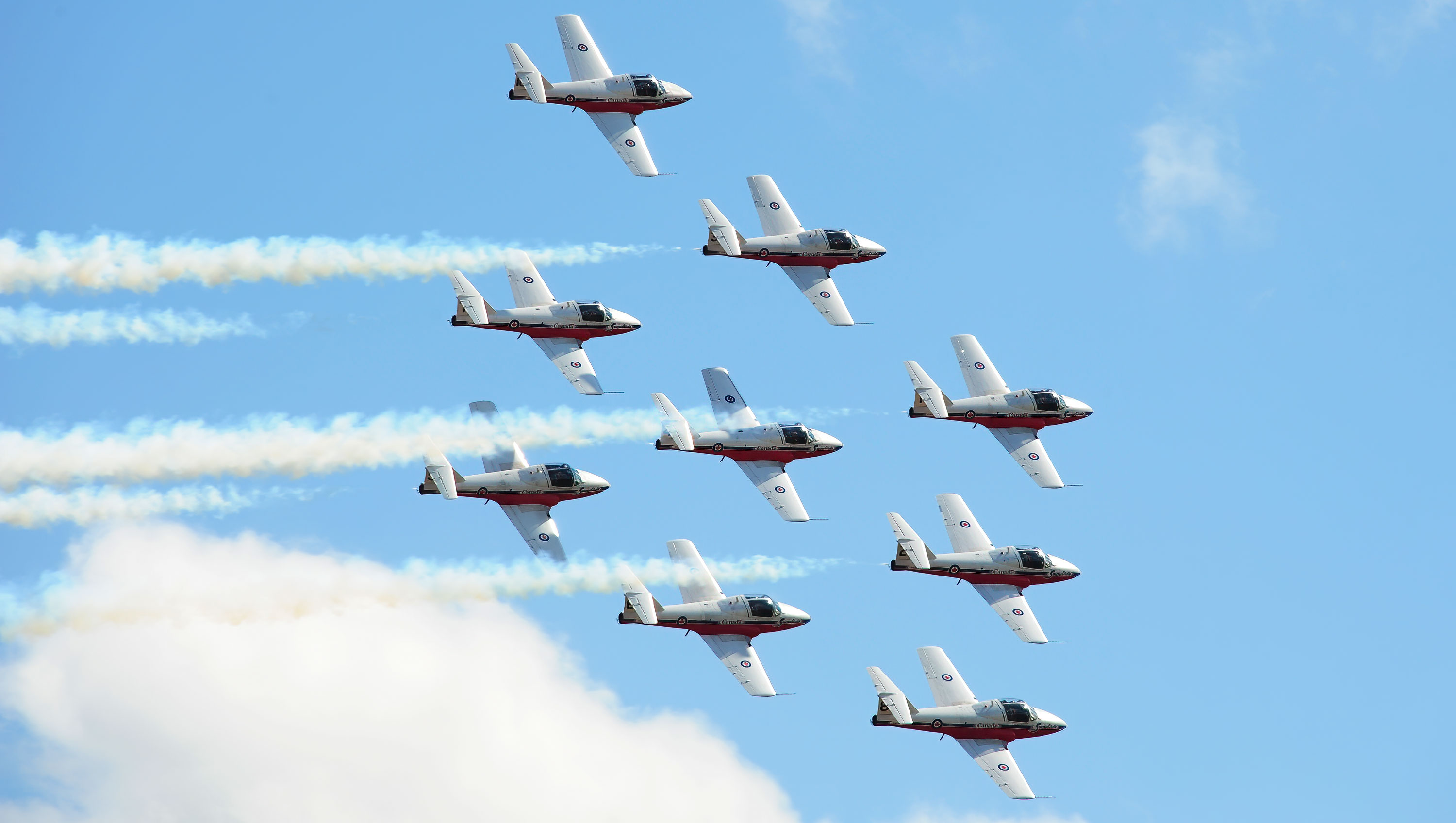 Snowbirds