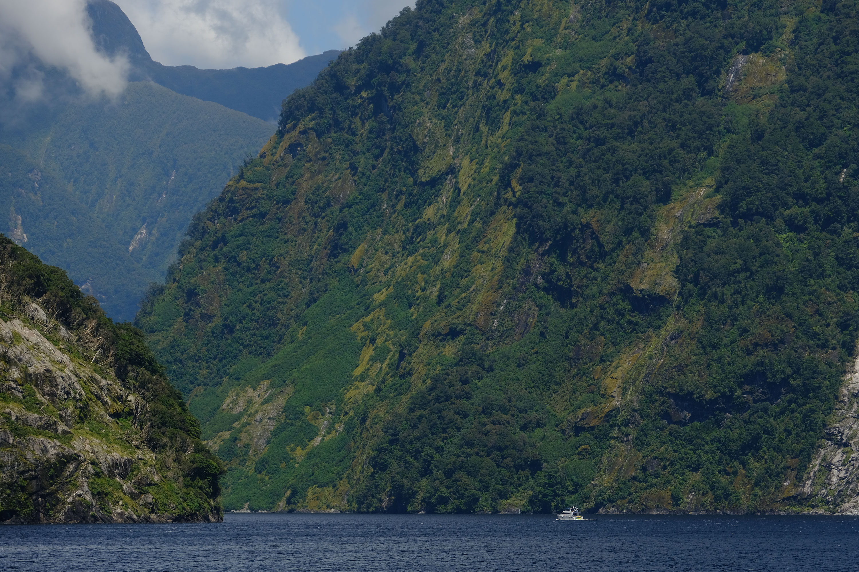 Doubtful Sound