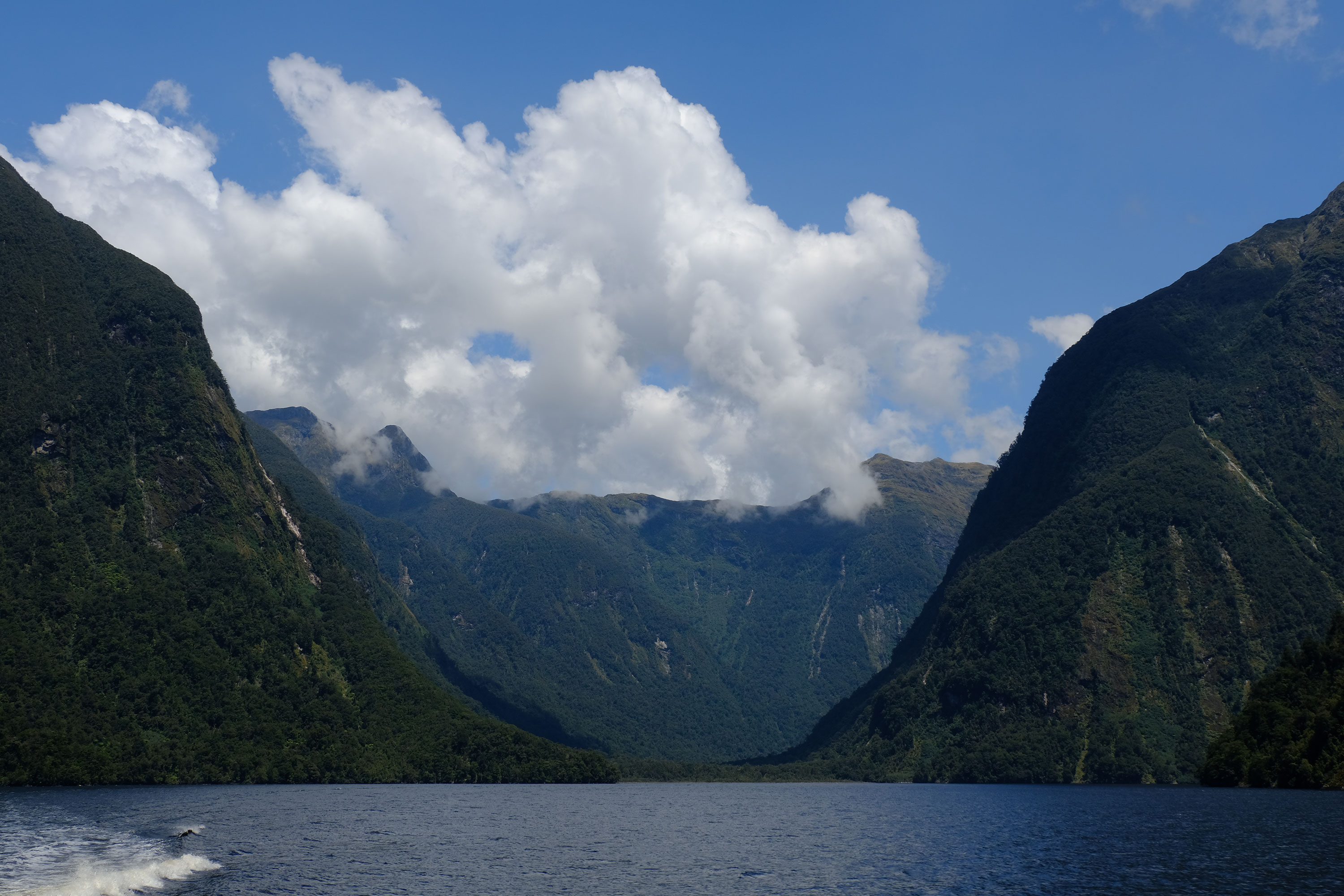 Doubtful Sound