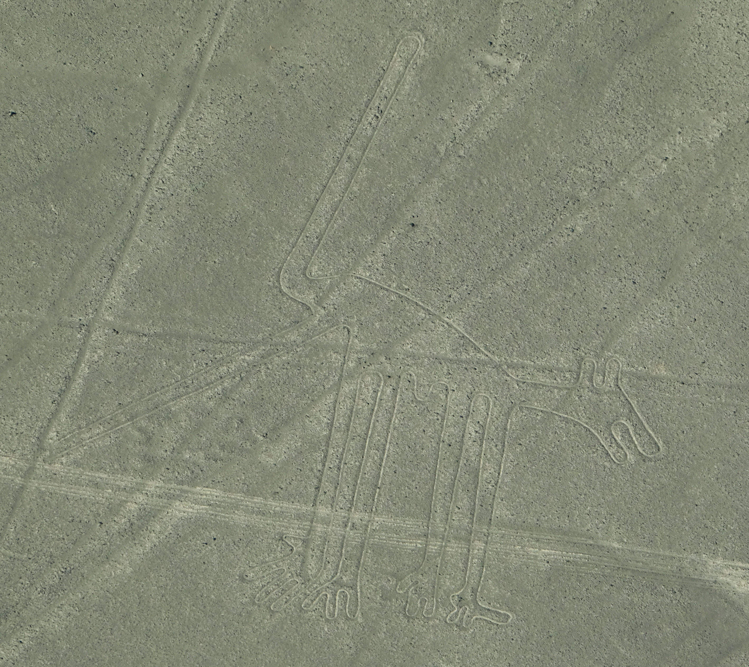Nazca11