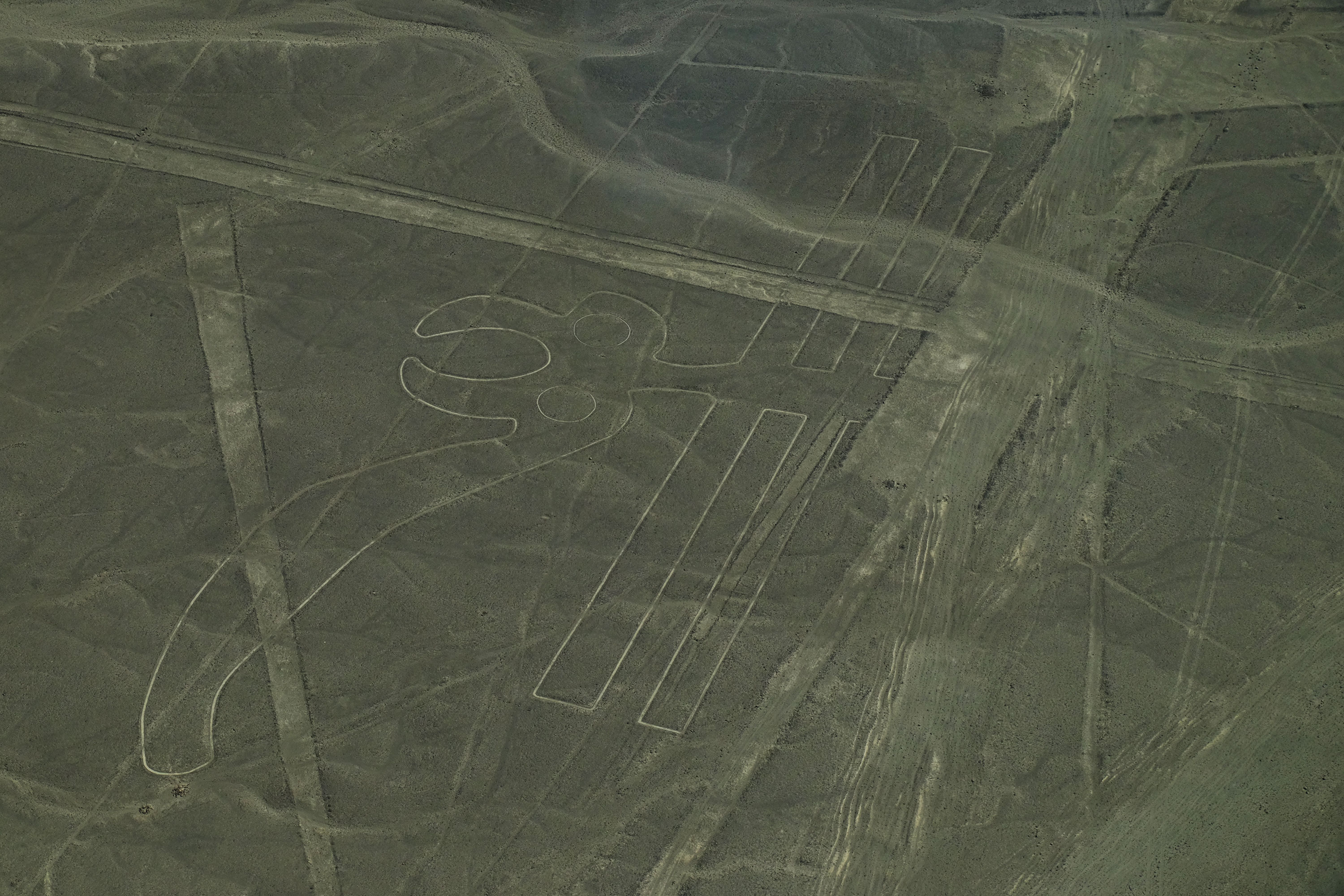Nazca9